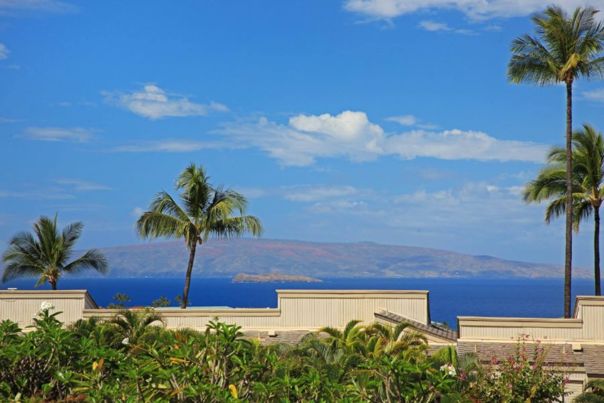 Beautiful Wailea Condo-Wailea Ekolu Village 401 - Photo 15
