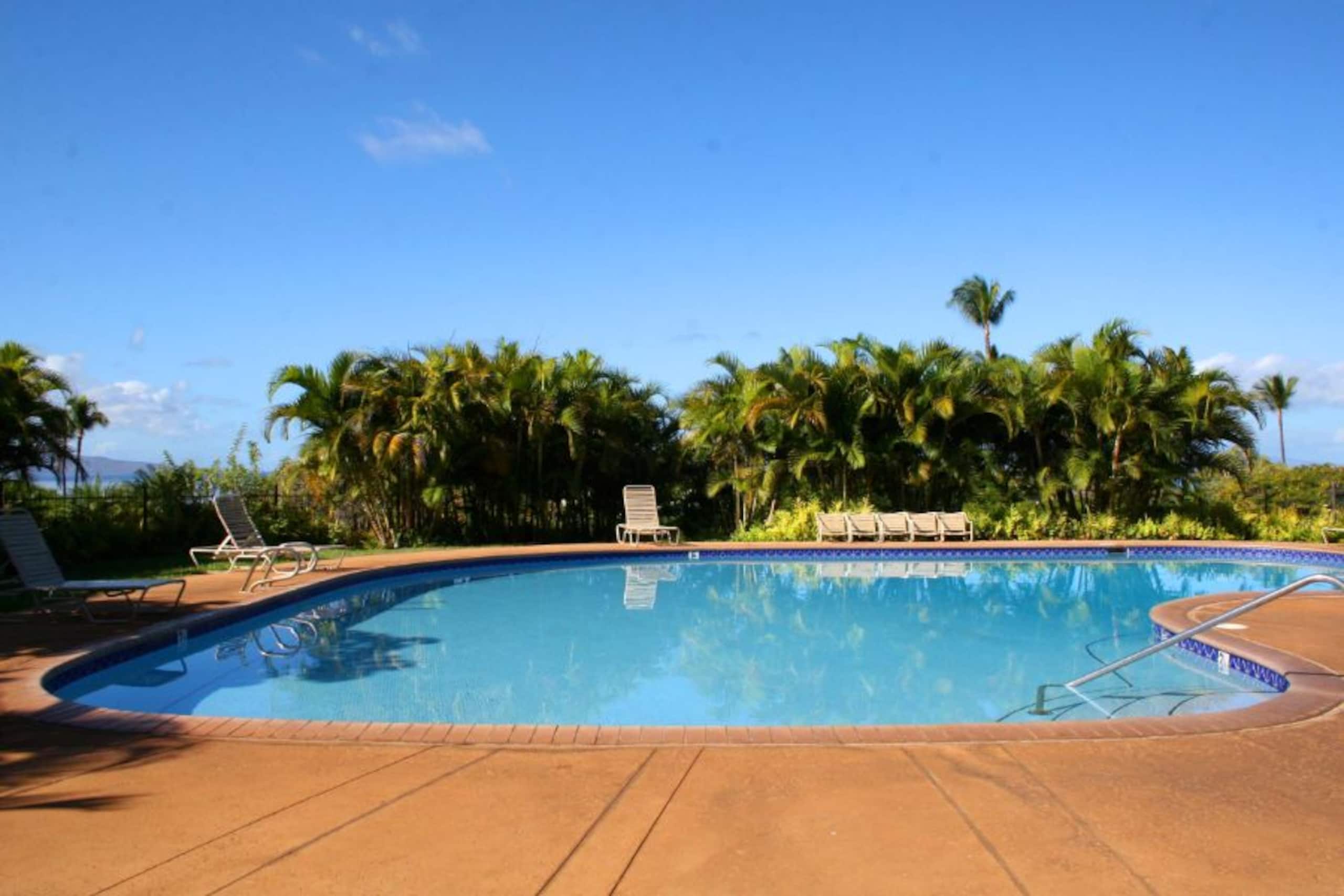 Beautiful Wailea Condo-Wailea Ekolu Village 401 - Photo 21