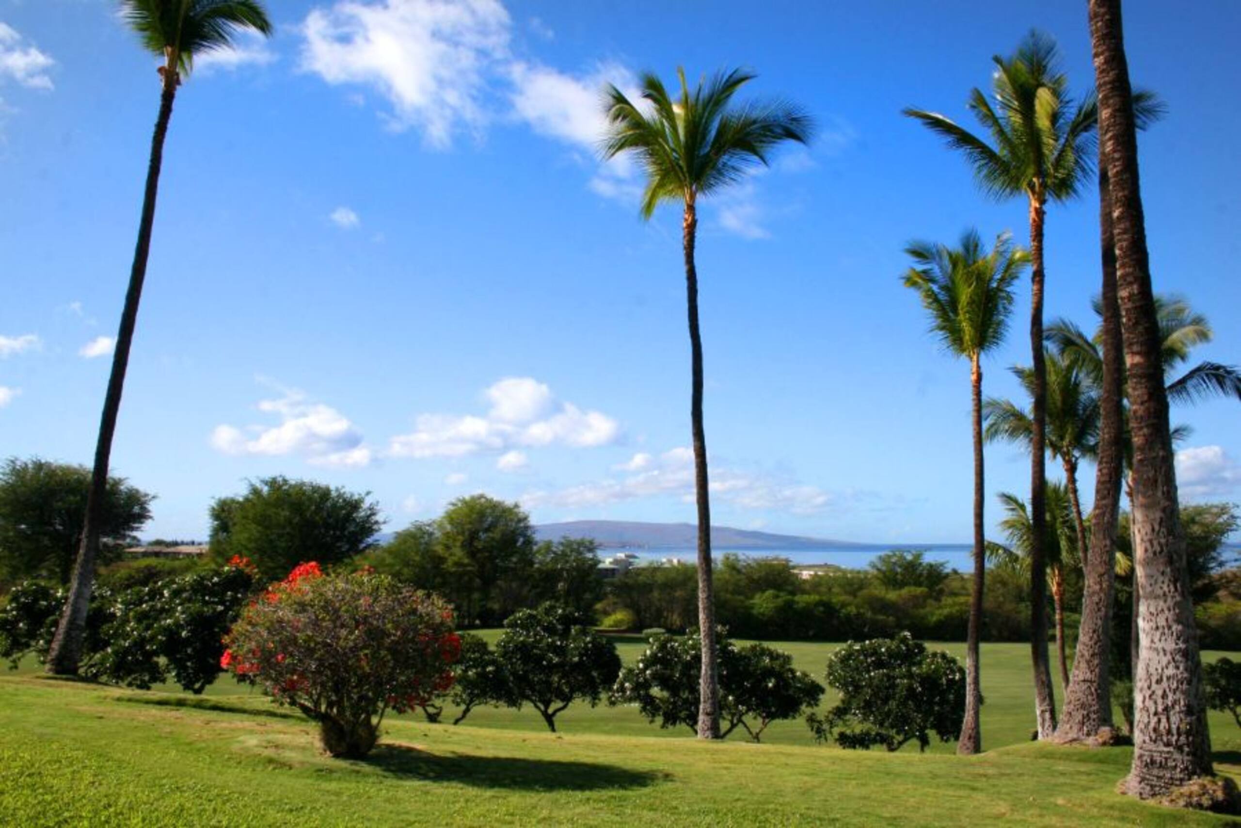 Beautiful Wailea Condo-Wailea Ekolu Village 401 - Photo 18