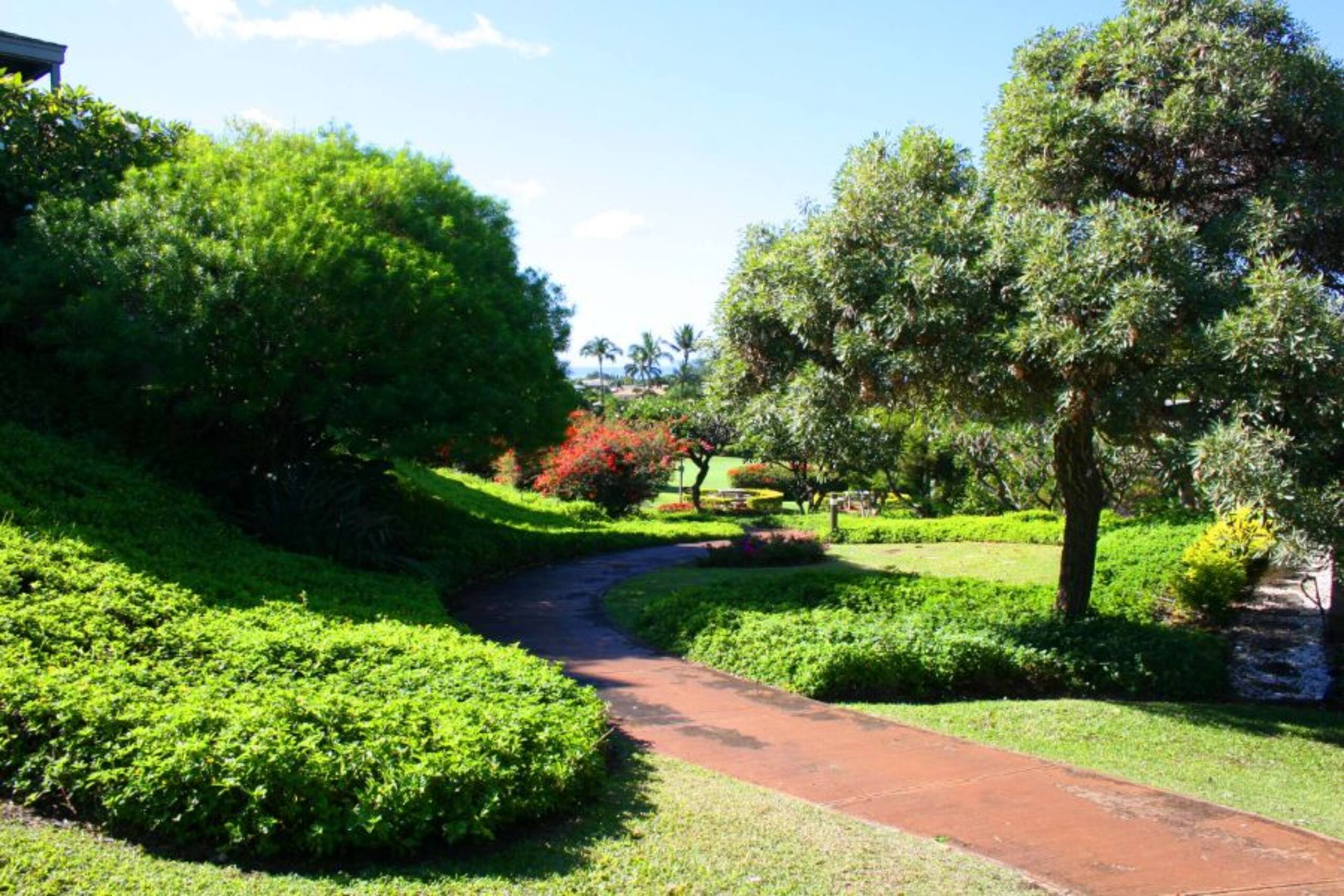 Beautiful Wailea Condo-Wailea Ekolu Village 401 - Photo 23