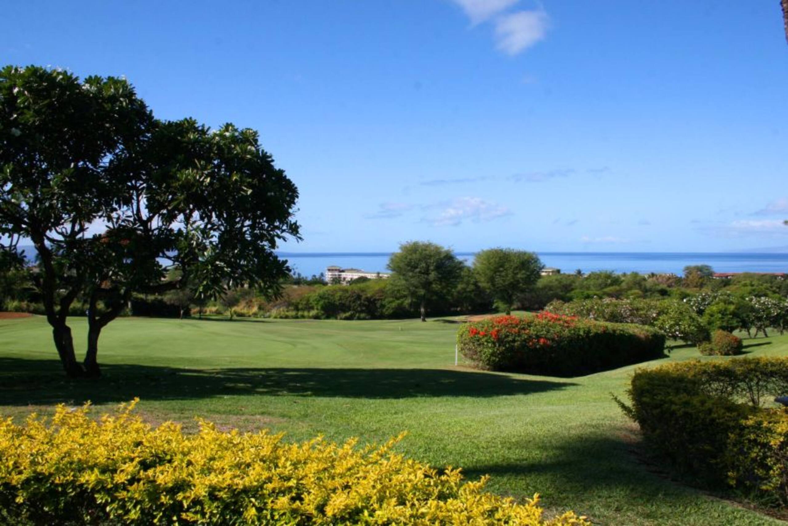 Beautiful Wailea Condo-Wailea Ekolu Village 401 - Photo 22