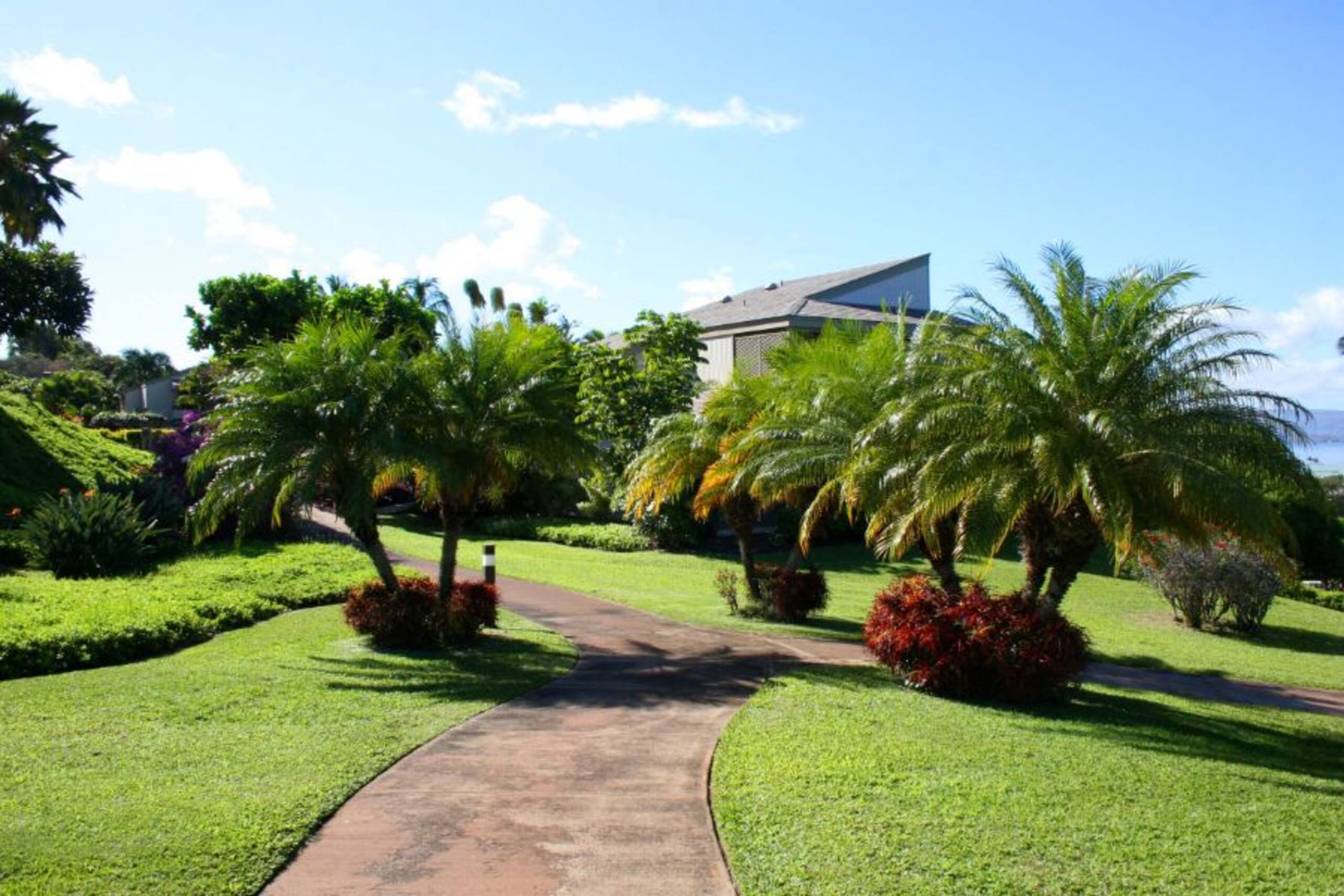 Beautiful Wailea Condo-Wailea Ekolu Village 401 - Photo 16