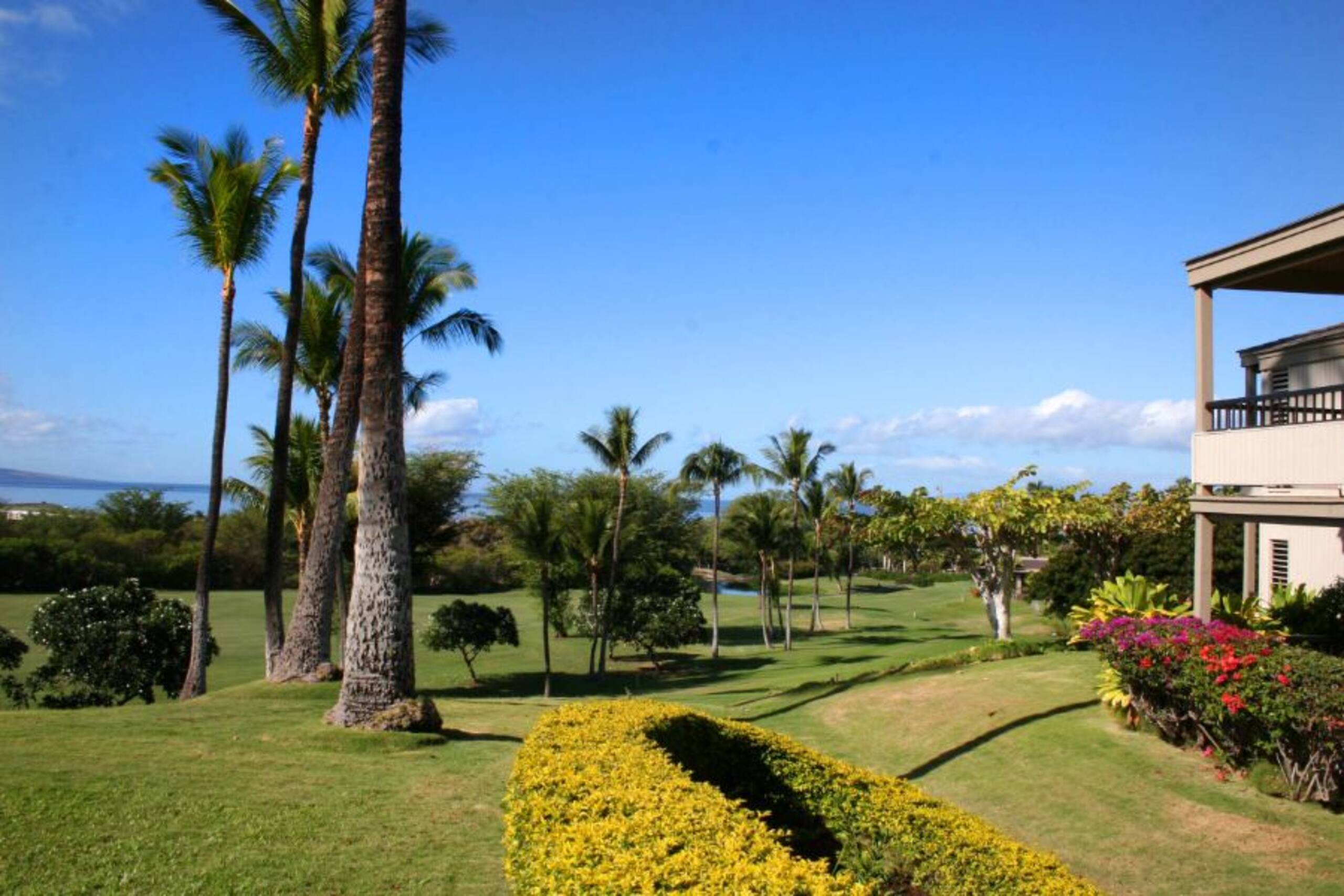 Beautiful Wailea Condo-Wailea Ekolu Village 401 - Photo 19