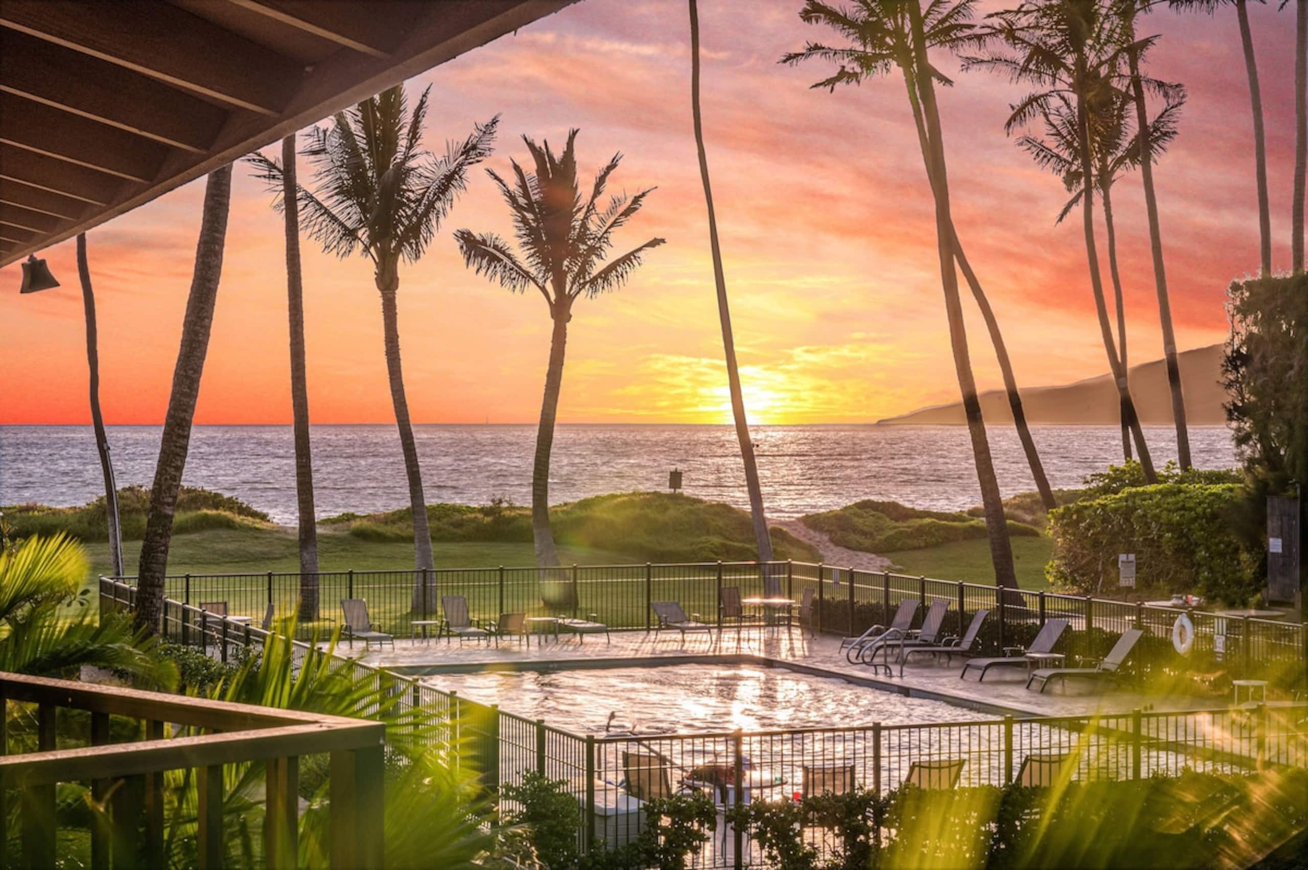 Oceanfront Unit in a Gorgeous Tropical Complex wit - Photo 2