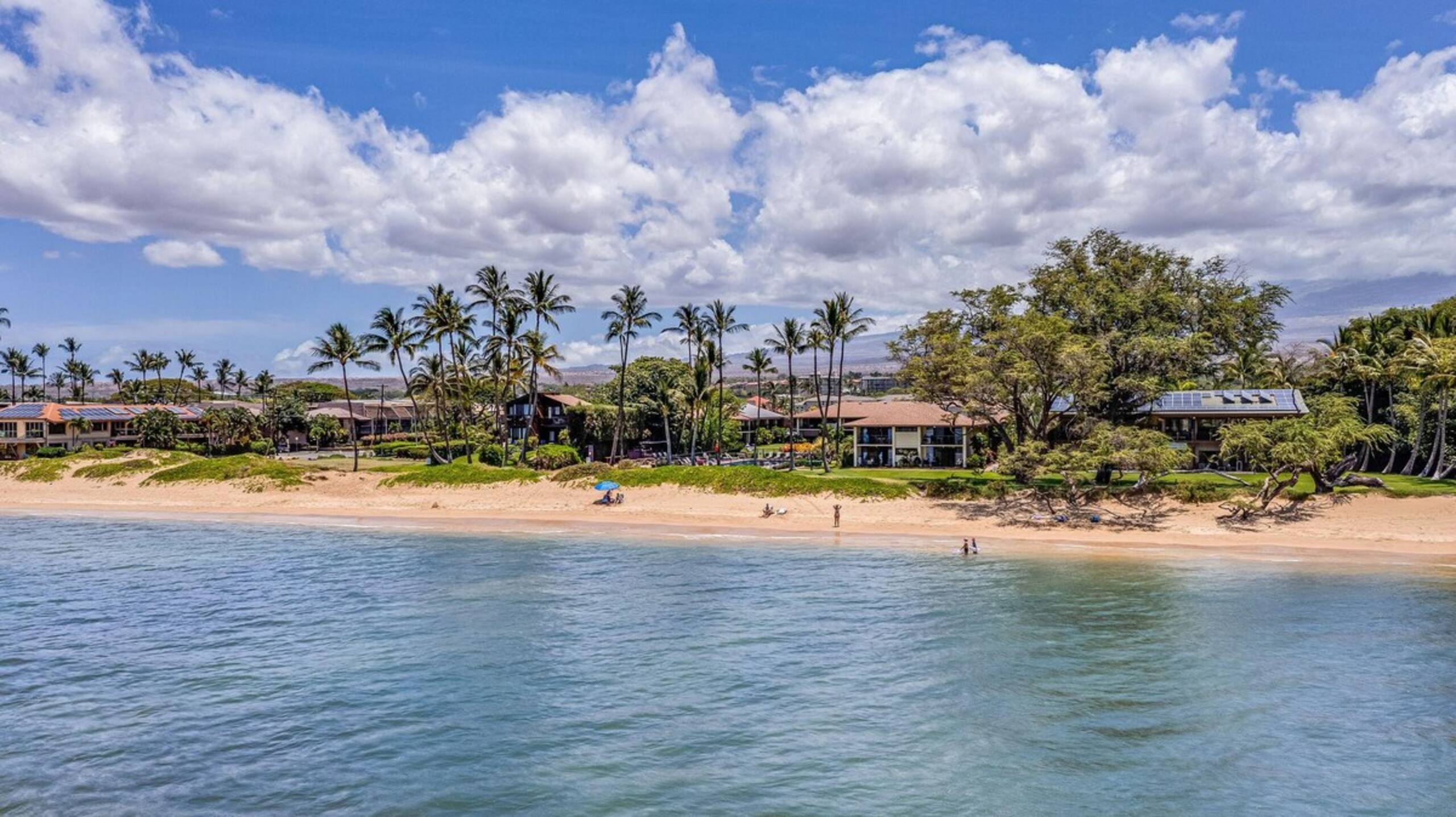 Oceanfront Unit in a Gorgeous Tropical Complex wit - Photo 37