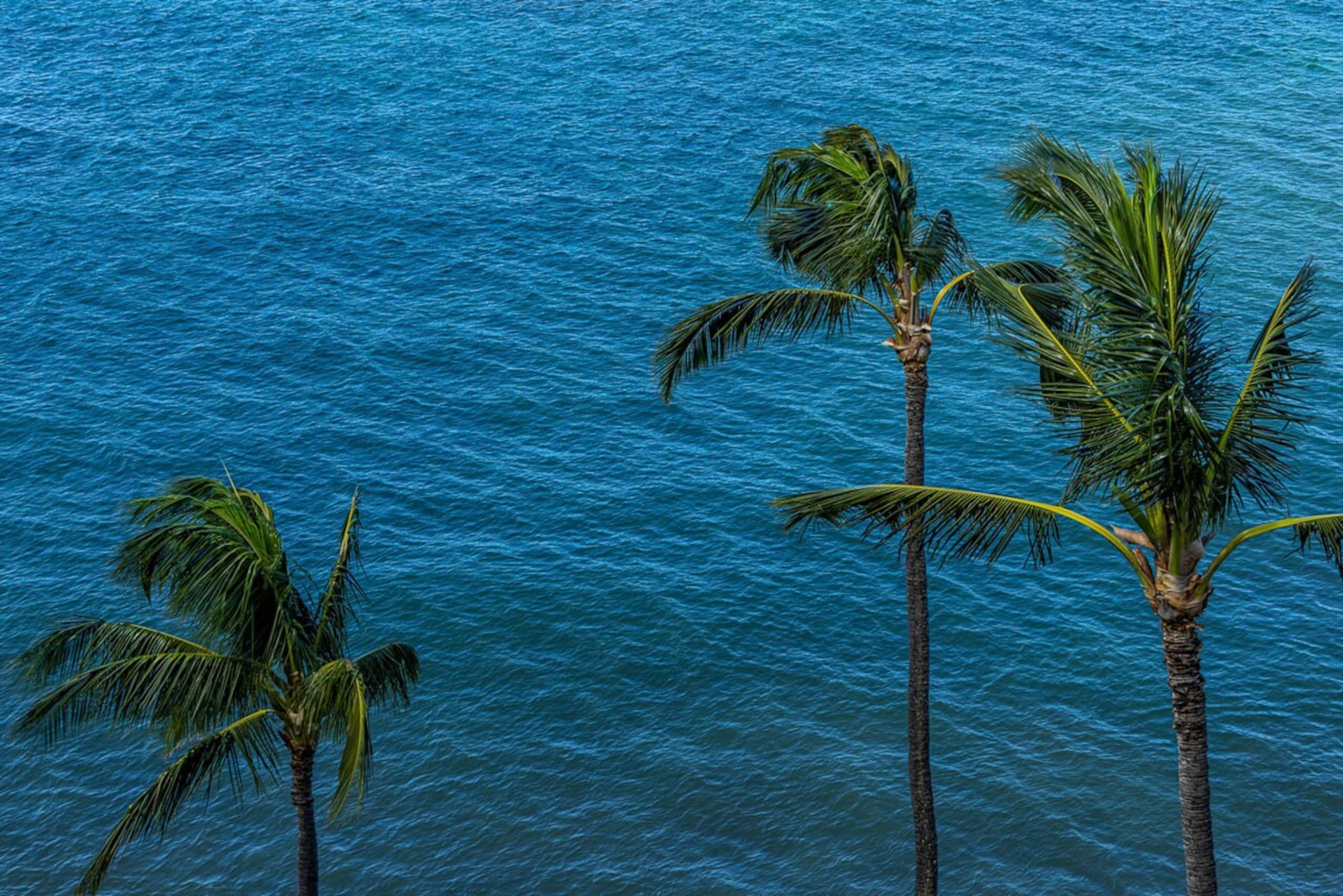 Oceanfront 1BR Kahana w/ whale views - Photo 19