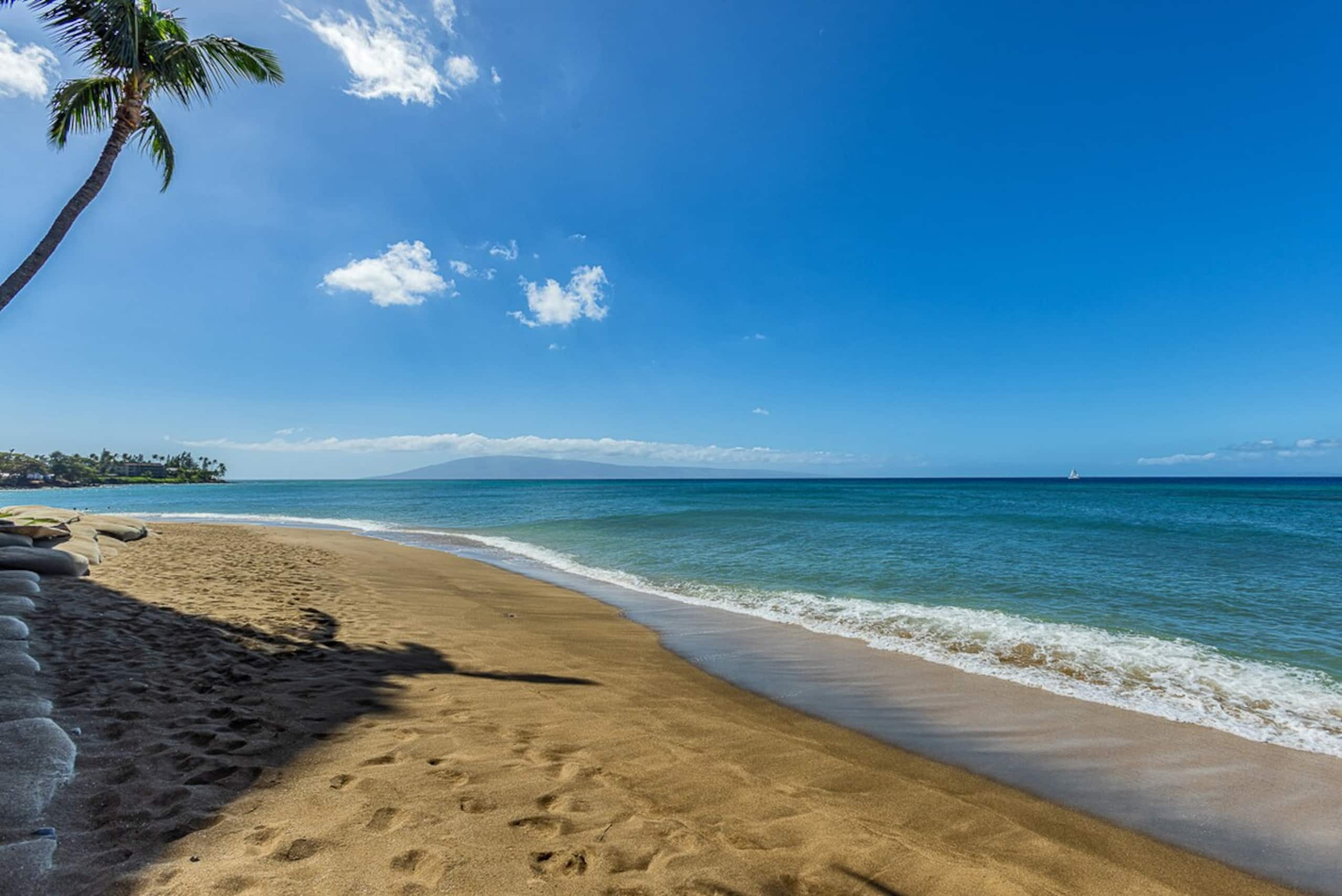 Oceanfront 1BR Kahana w/ whale views - Photo 45