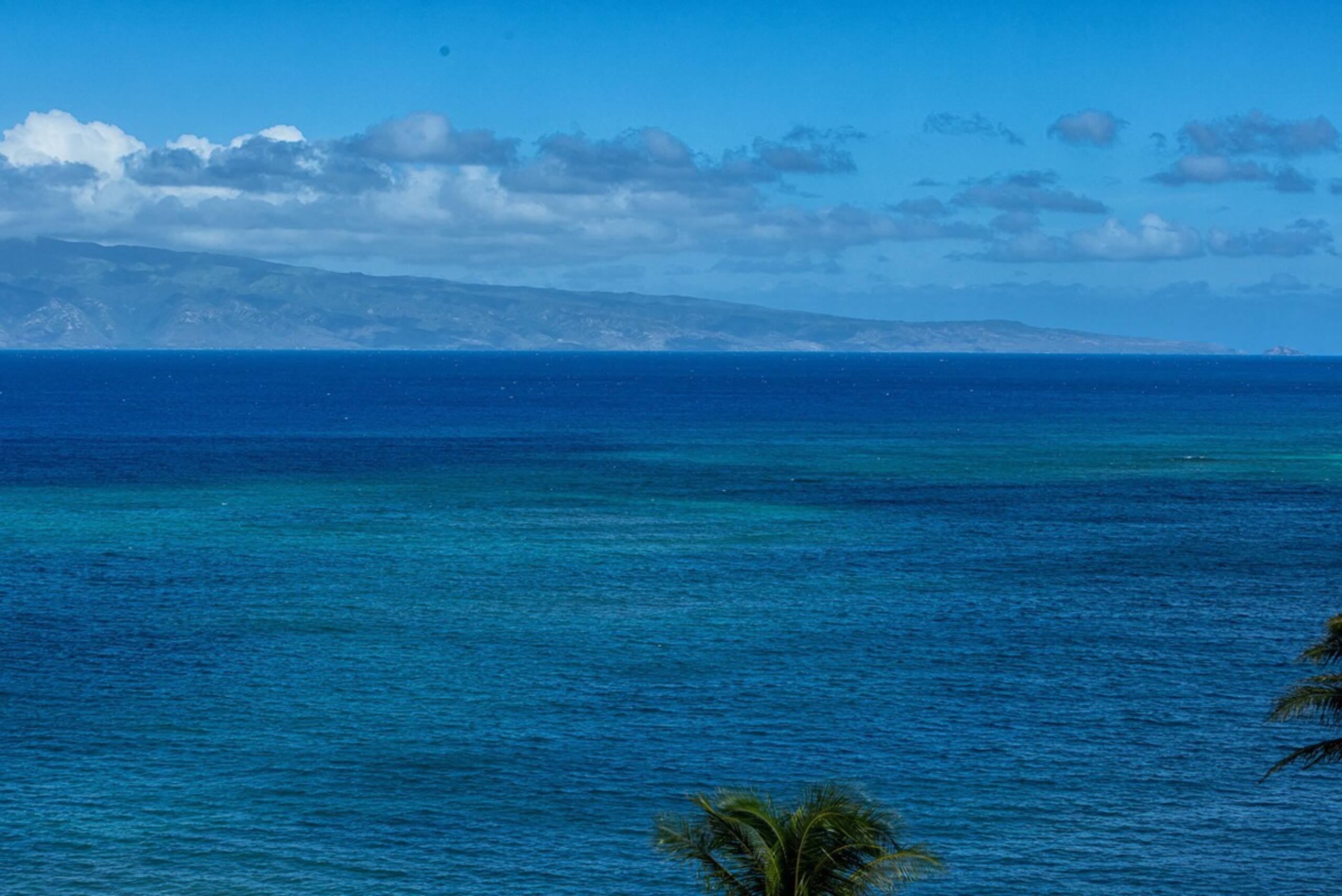 Oceanfront 1BR Kahana w/ whale views - Photo 2