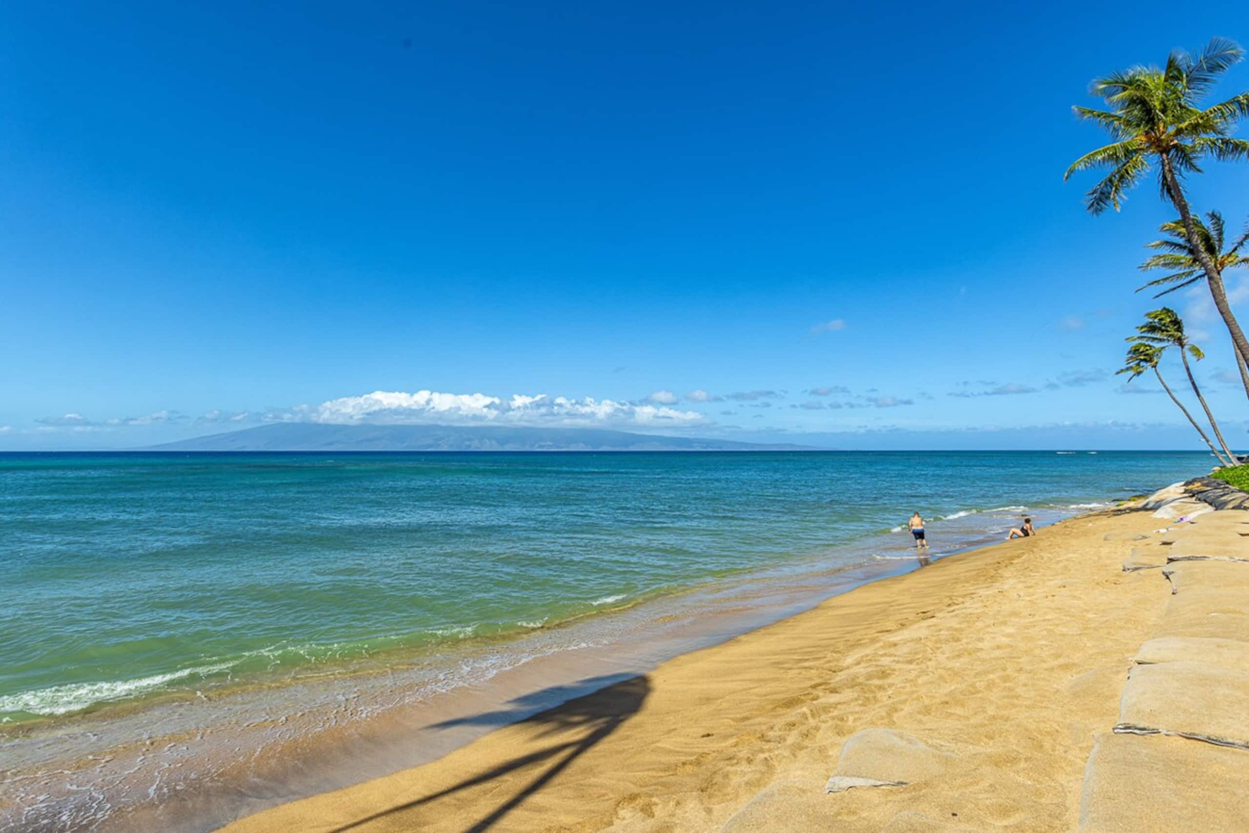 Oceanfront 1BR Kahana w/ whale views - Photo 43