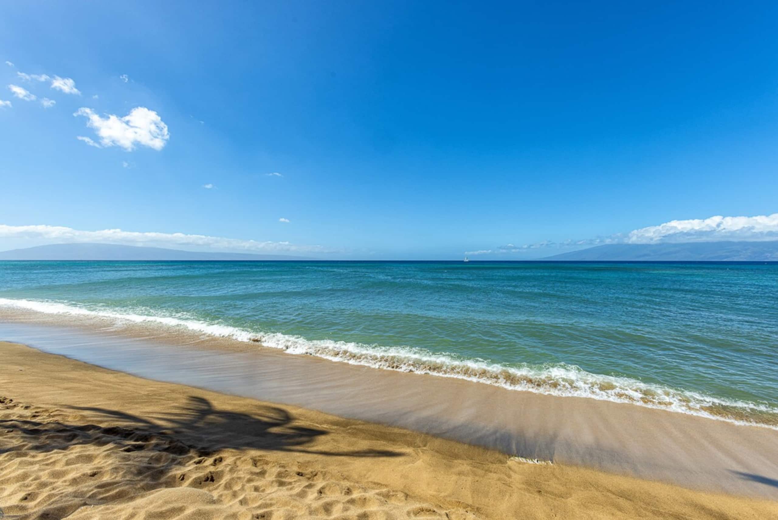 Oceanfront 1BR Kahana w/ whale views - Photo 44