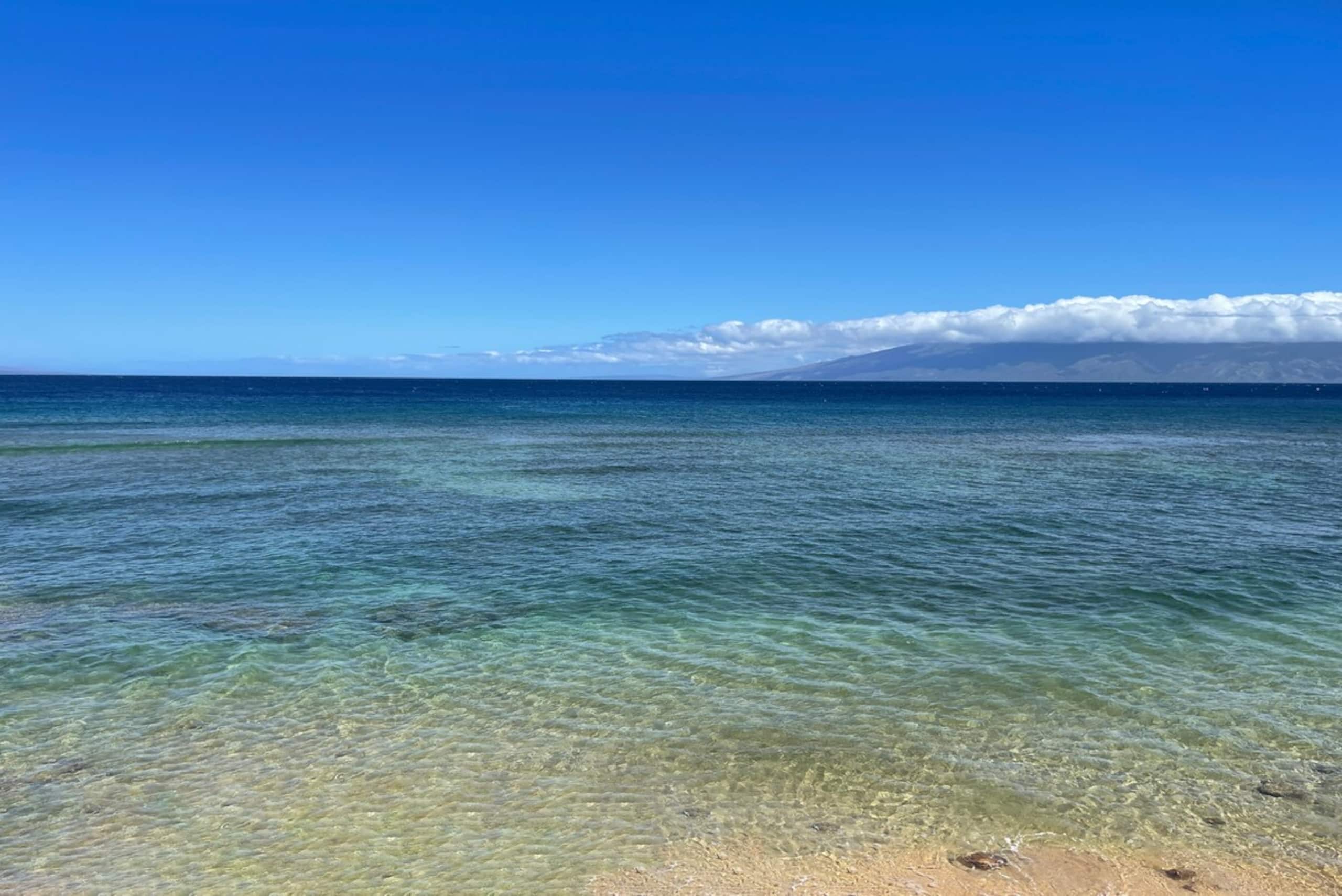Maui Kai 206 Updated OceanFront Studio Pool AC - Photo 6