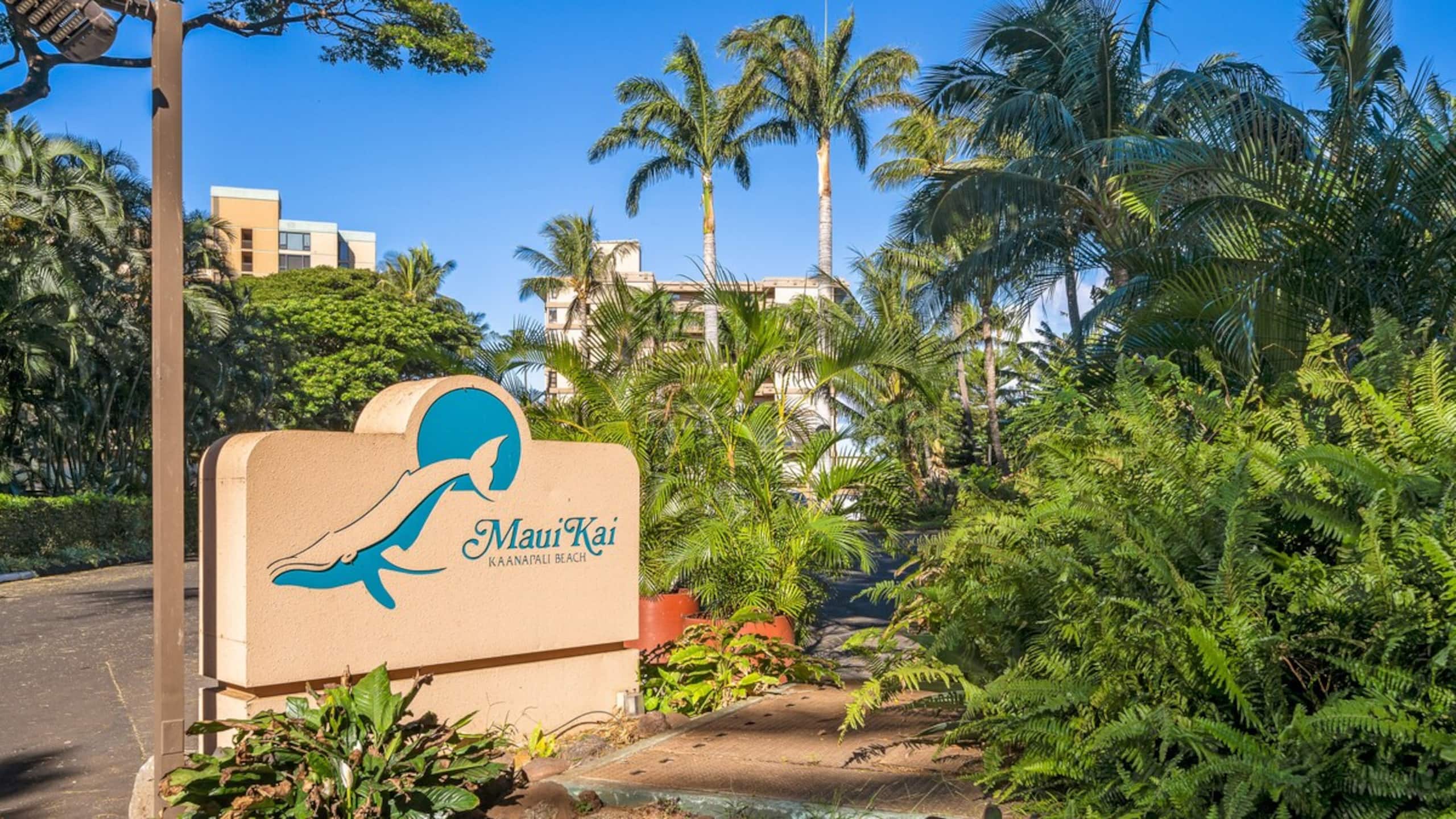 Maui Kai 206 Updated OceanFront Studio Pool AC - Photo 24