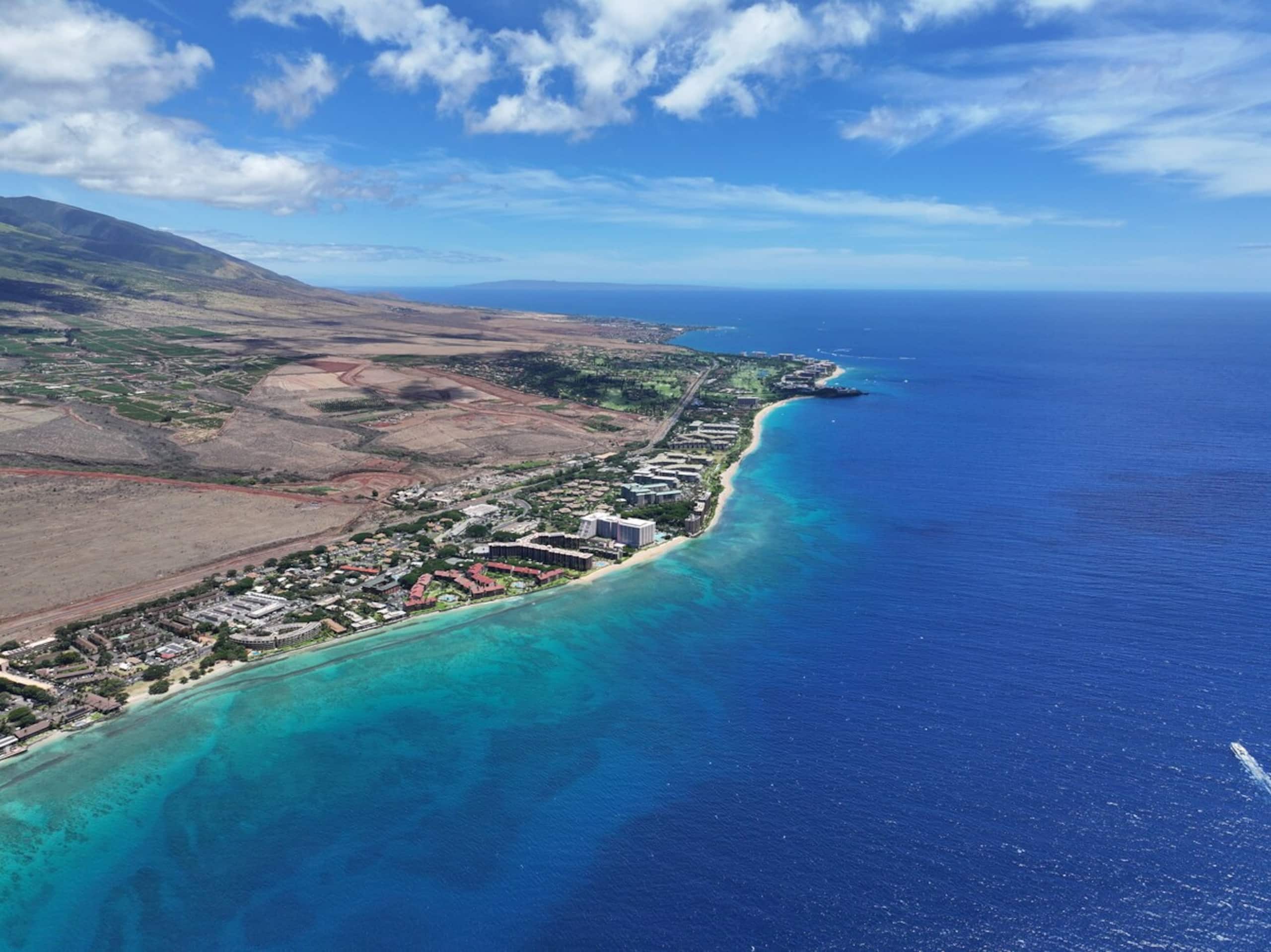 Front Row Whale Watching - Rare Oceanfront - Photo 37