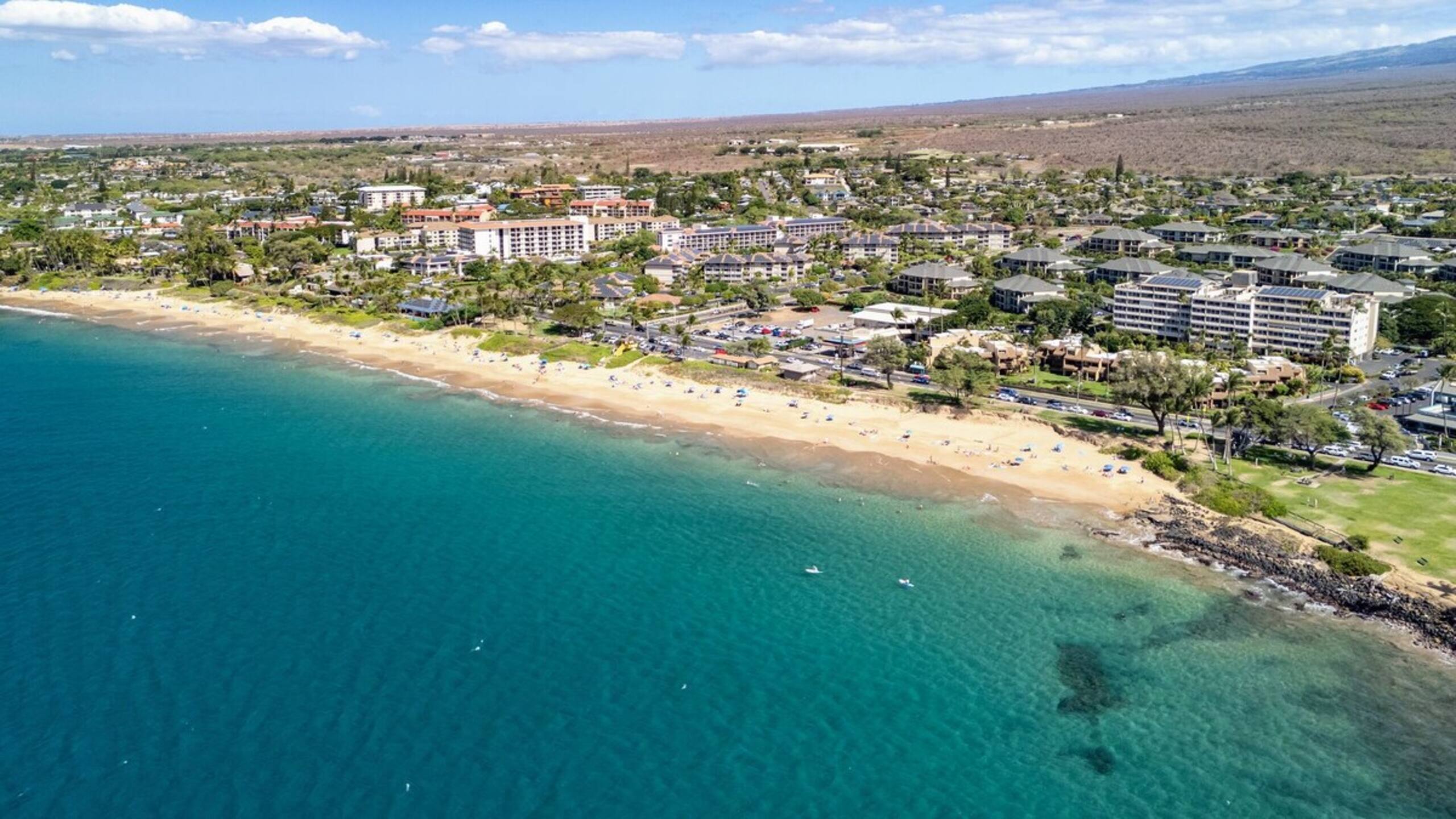 3 bedroom Oceanview Walk to Everything - KBR 612 - Photo 56