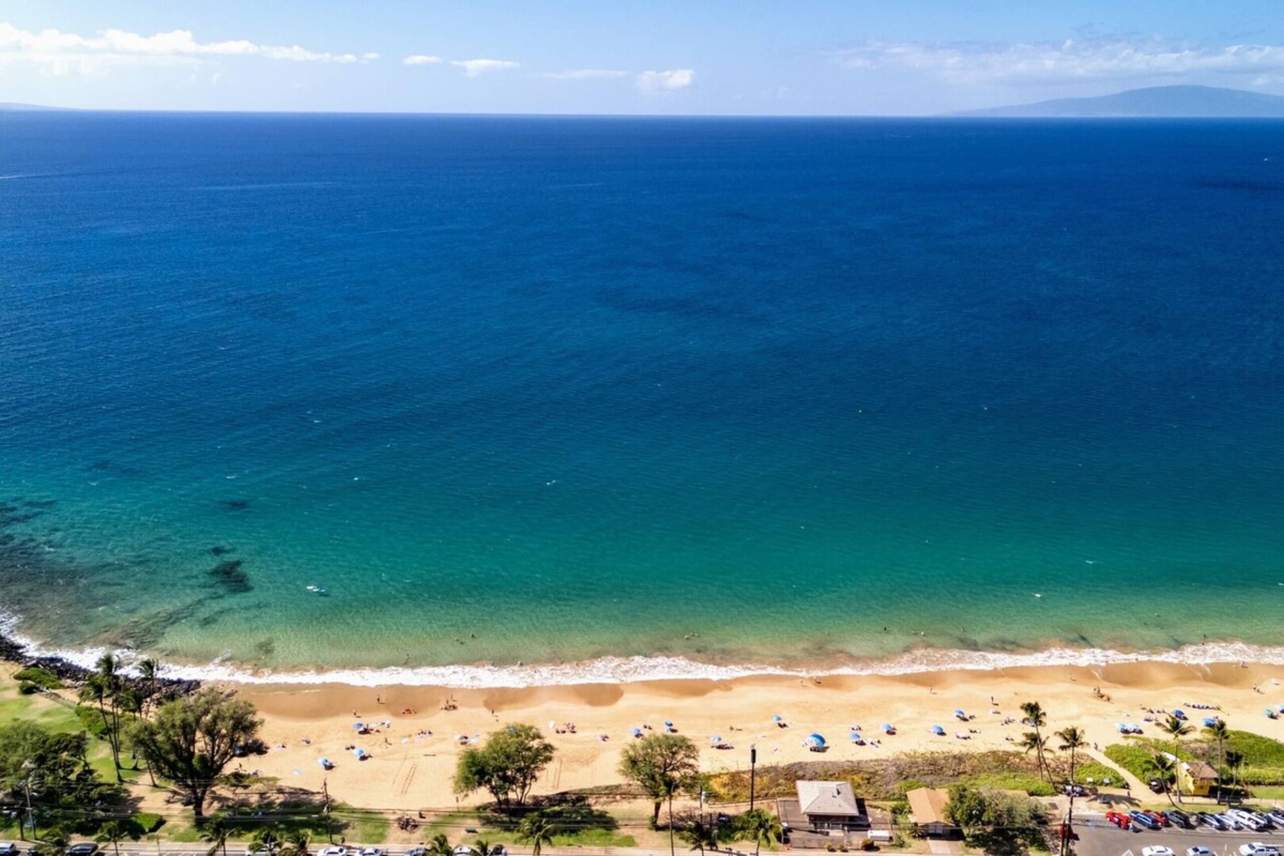 3 bedroom Oceanview Walk to Everything - KBR 612 - Photo 49