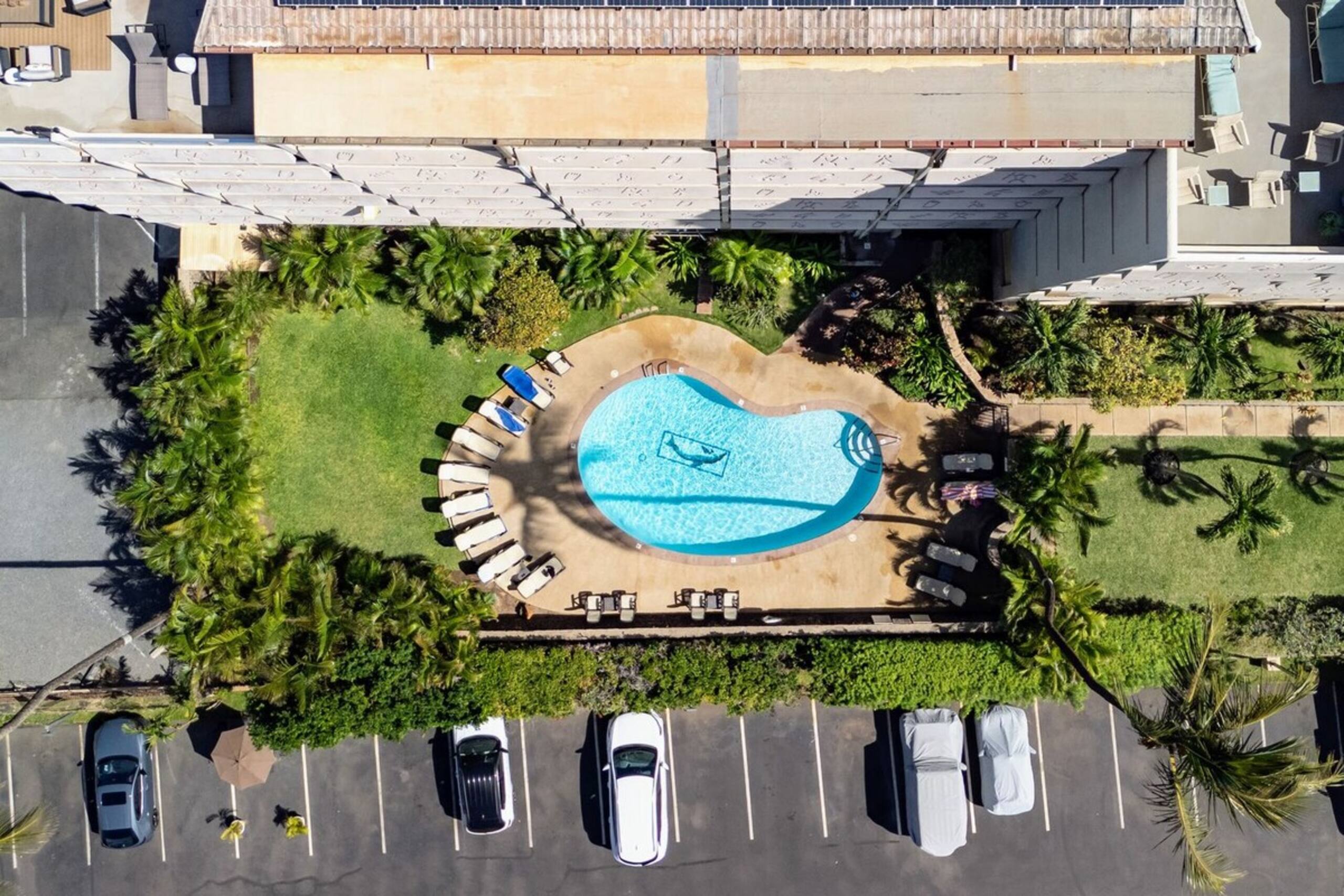 3 bedroom Oceanview Walk to Everything - KBR 612 - Photo 58