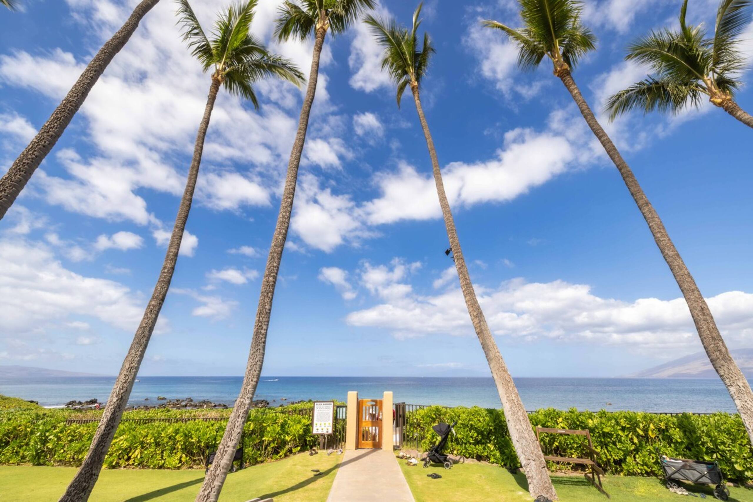 Wailea Ekahi 46F Paradise Found- Spacious 2 bedroo - Photo 53