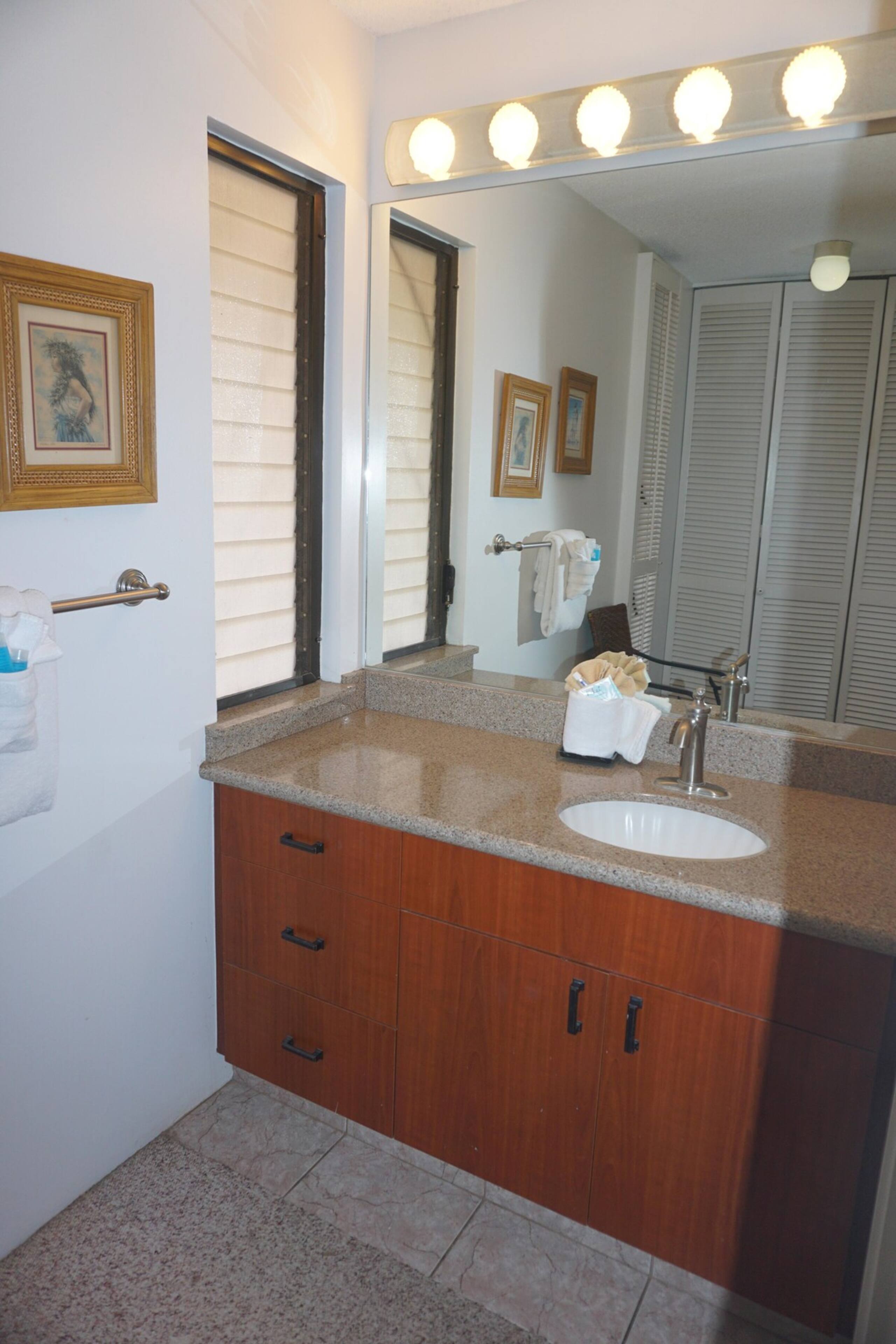 Wailea Ekahi 46F Paradise Found- Spacious 2 bedroo - Photo 25