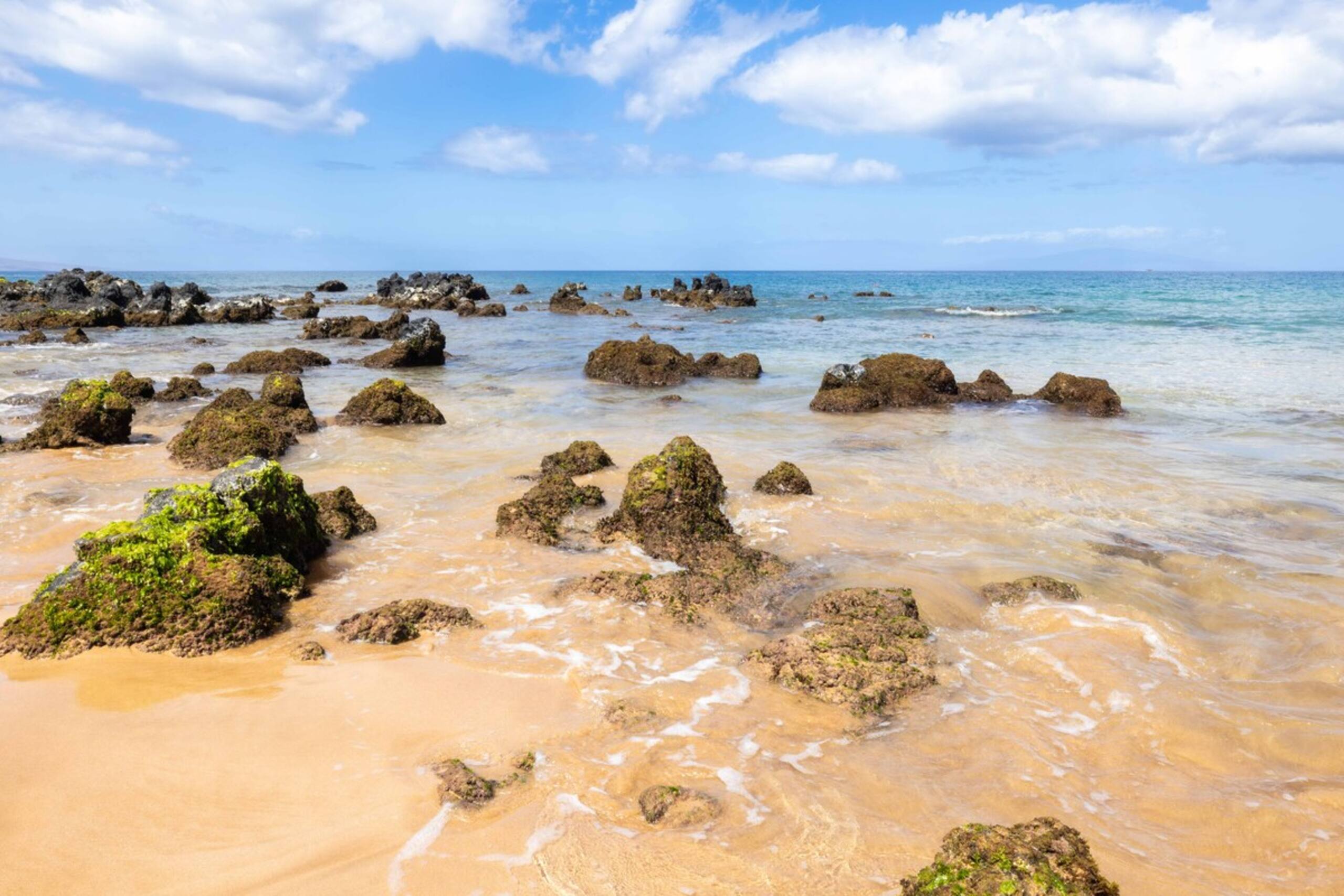 Wailea Ekahi 46F Paradise Found- Spacious 2 bedroo - Photo 51