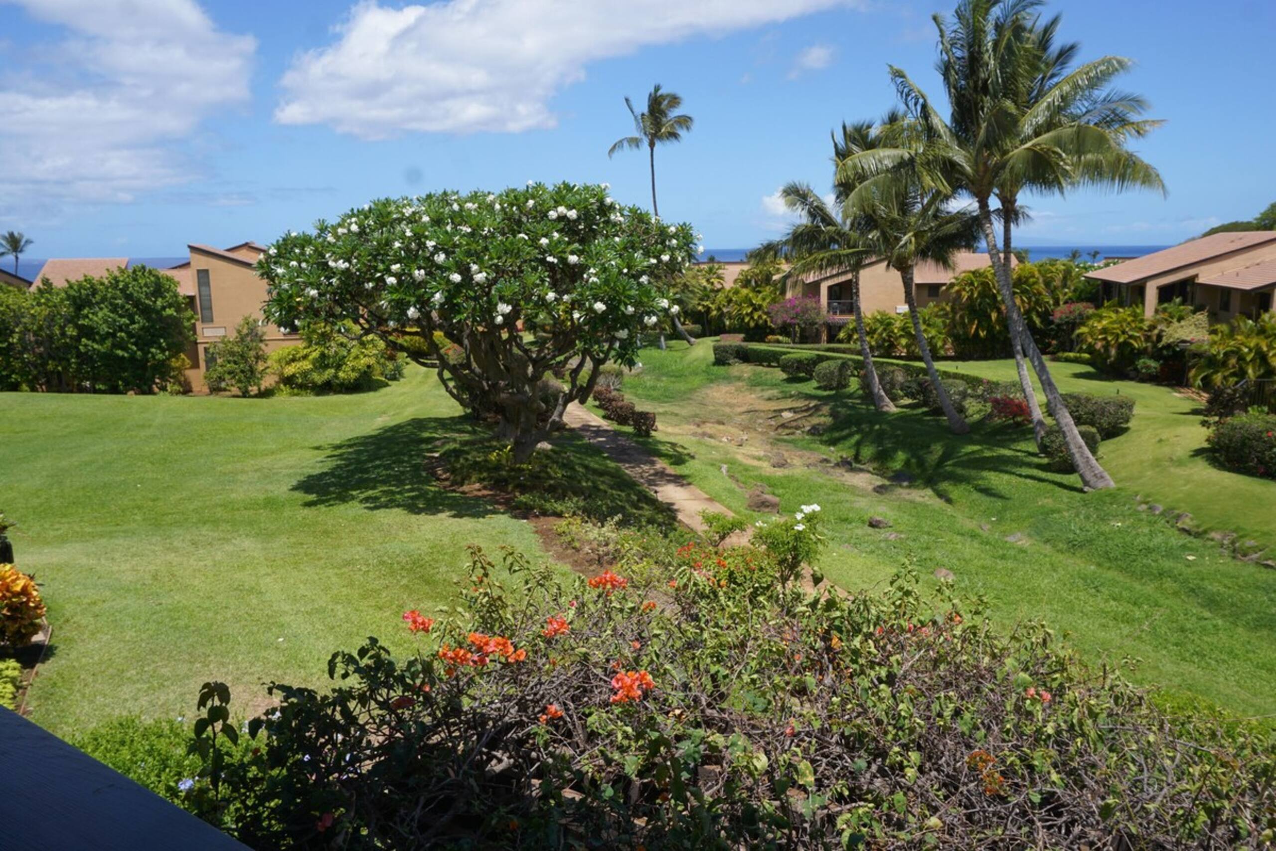 Wailea Ekahi 46F Paradise Found- Spacious 2 bedroo - Photo 26