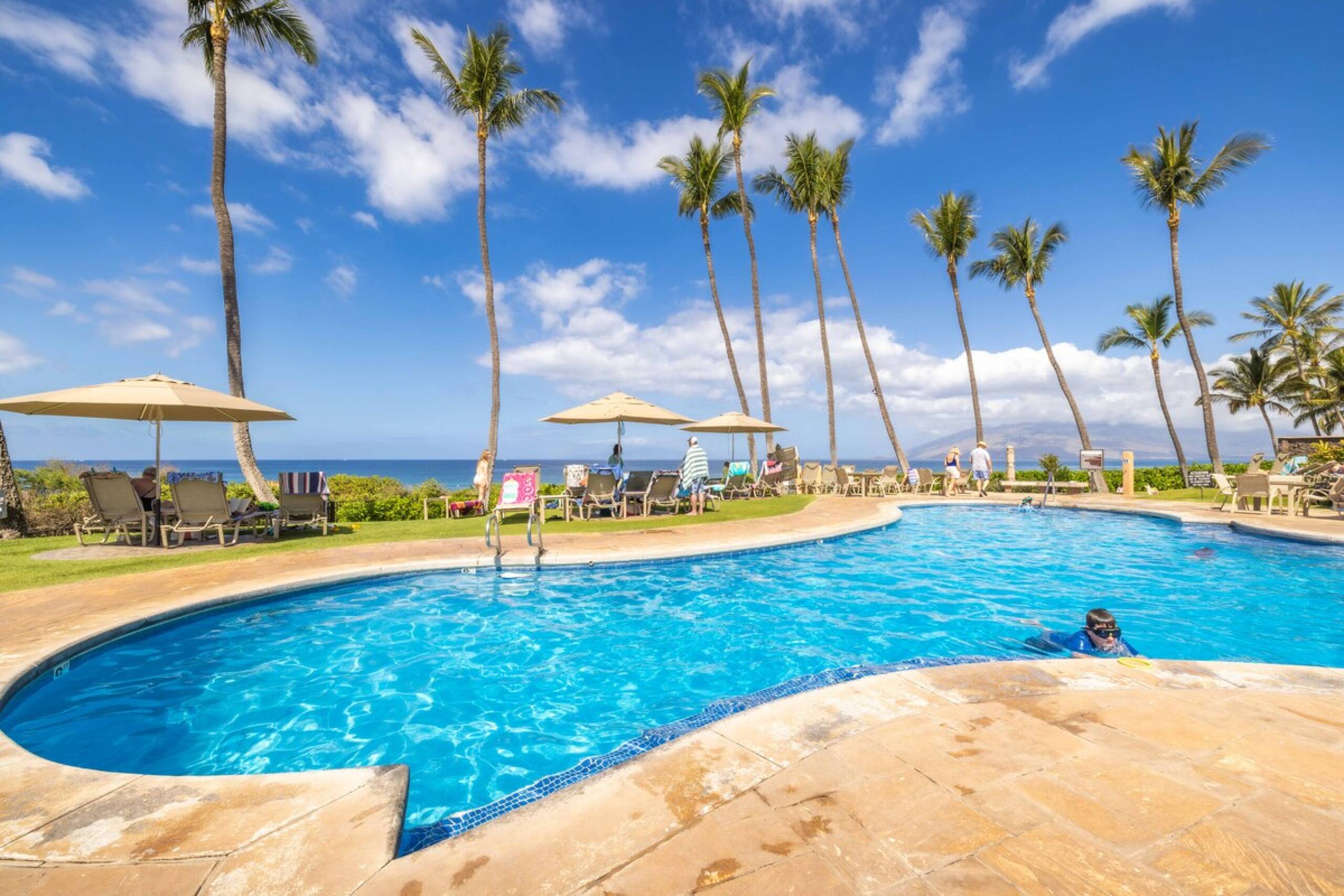 Wailea Ekahi 46F Paradise Found- Spacious 2 bedroo - Photo 27