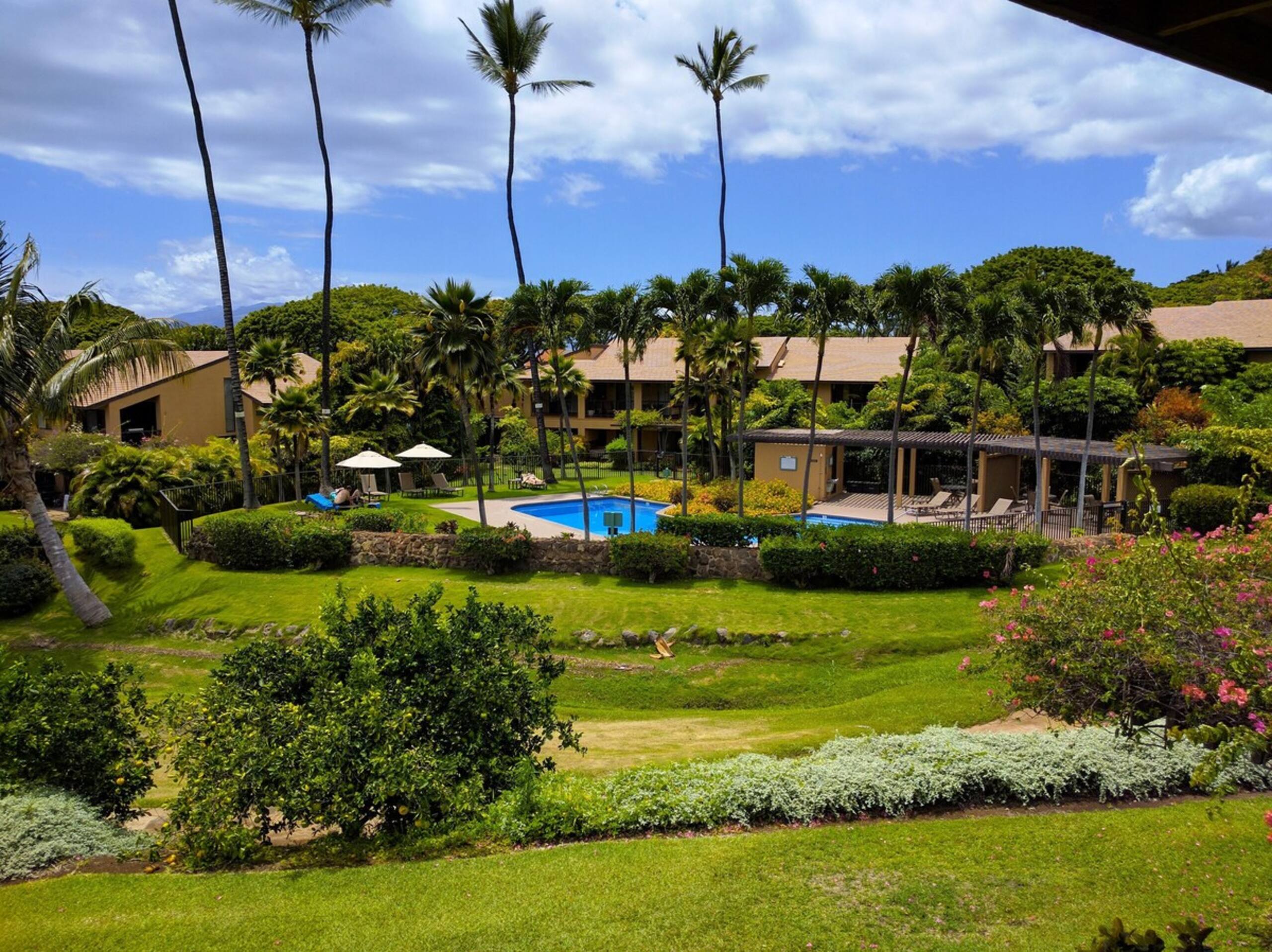 Wailea Ekahi 46F Paradise Found- Spacious 2 bedroo - Photo 28