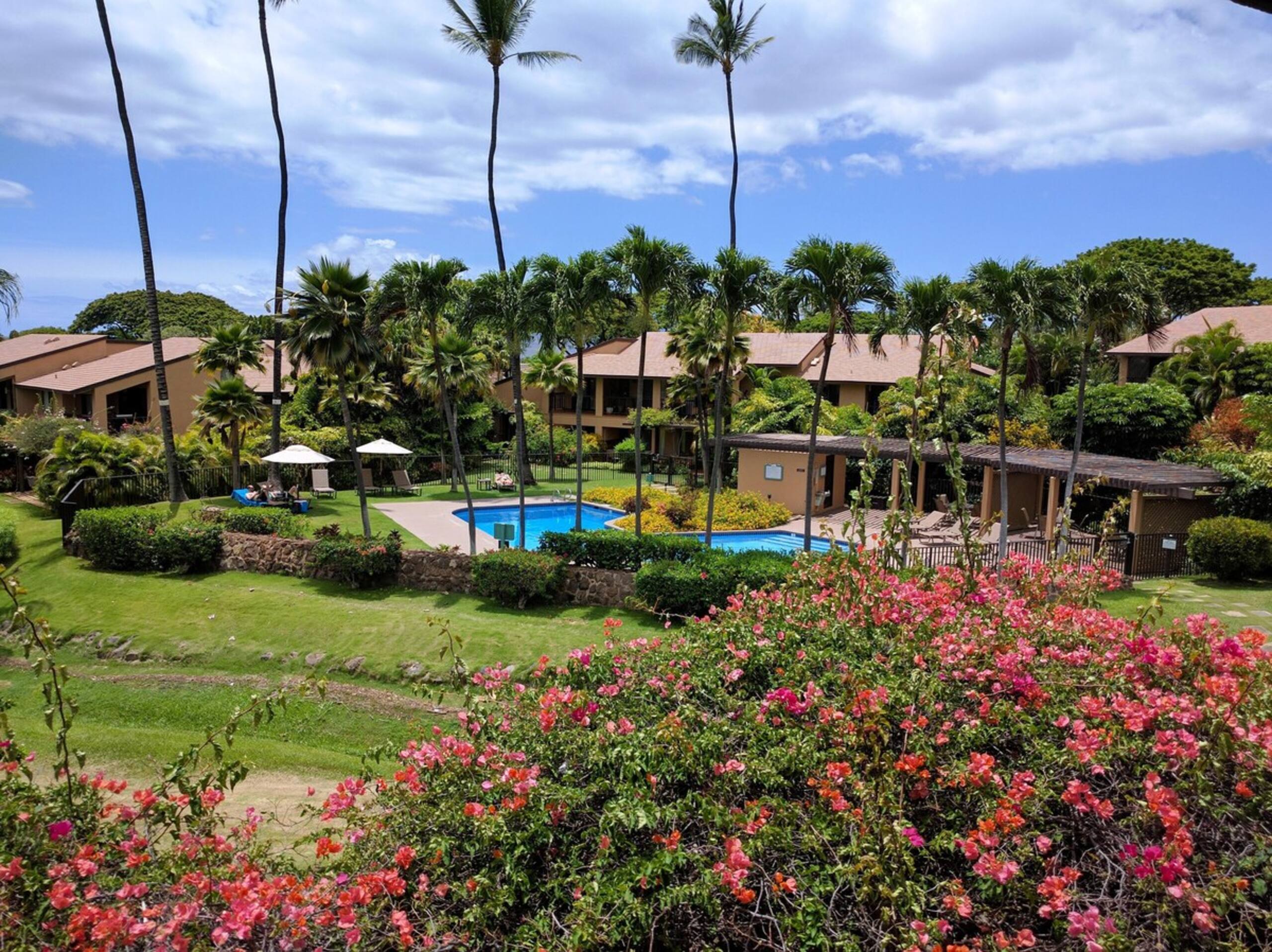 Wailea Ekahi 46F Paradise Found- Spacious 2 bedroo - Photo 21