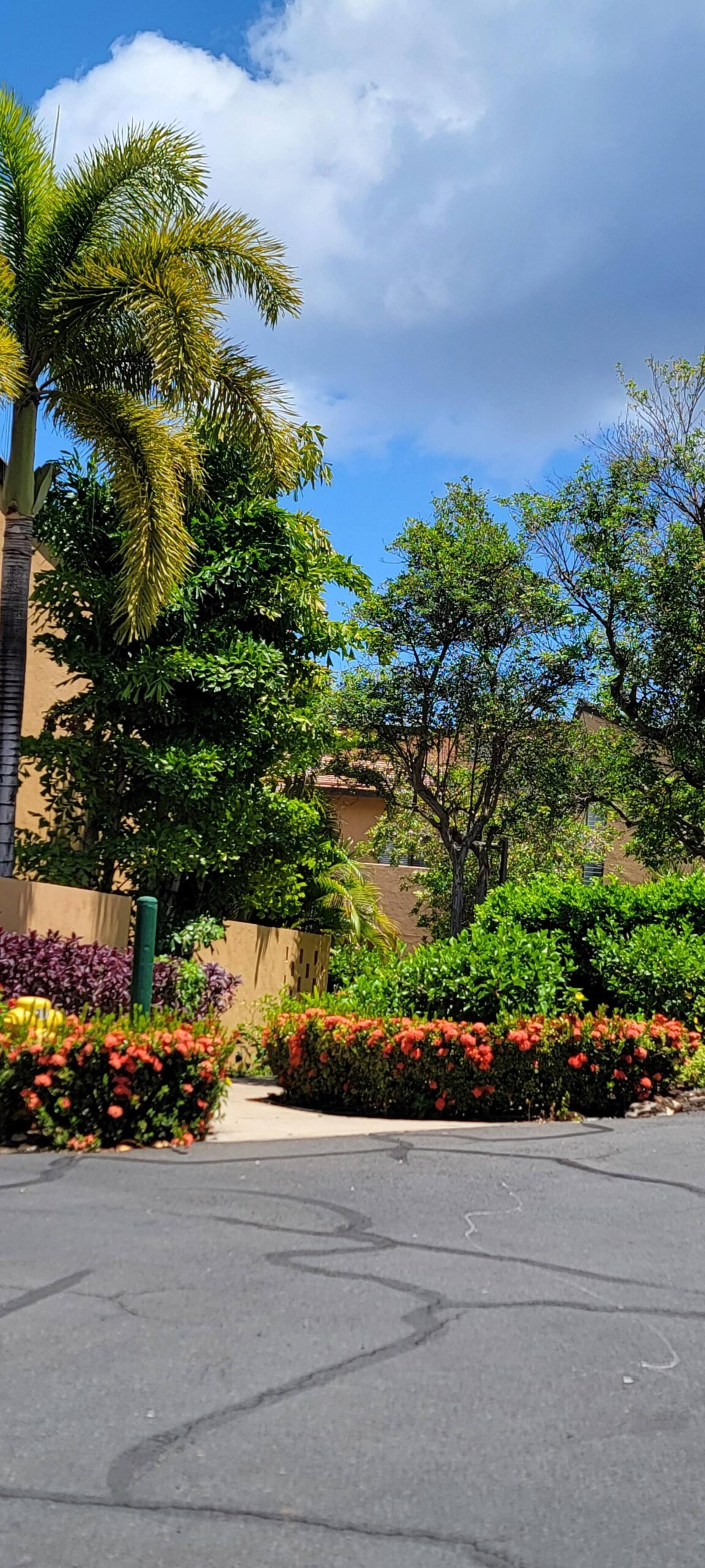 Wailea Ekahi 46F Paradise Found- Spacious 2 bedroo - Photo 44