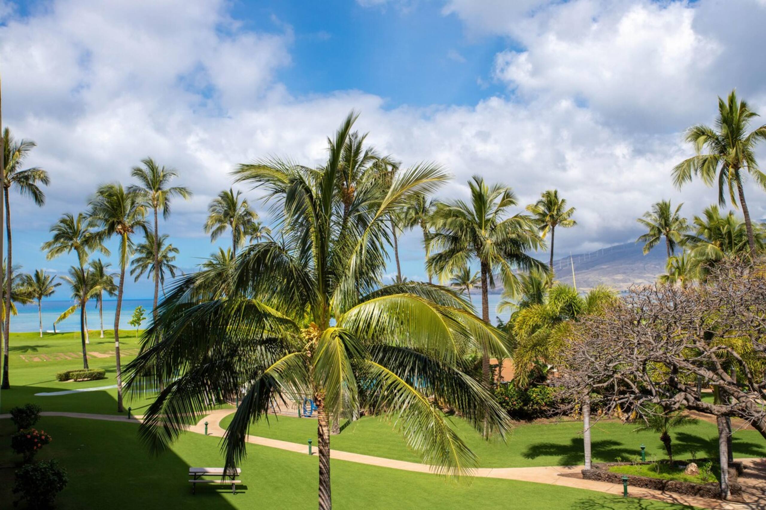 Beautiful Lanai Views, Oceanfront Complex W/ Large - Photo 27