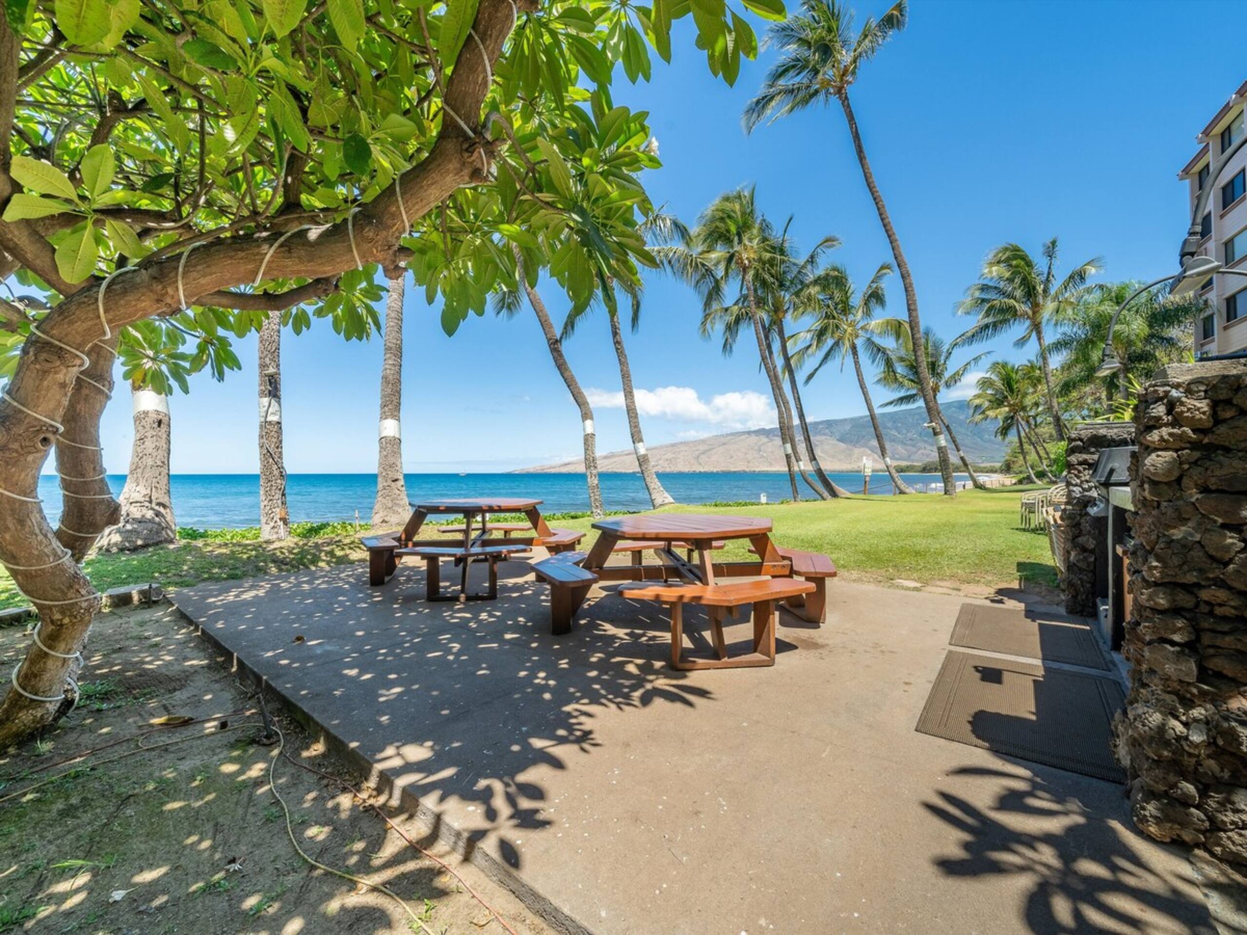 Direct Beachfront Living in South Maui - Photo 20