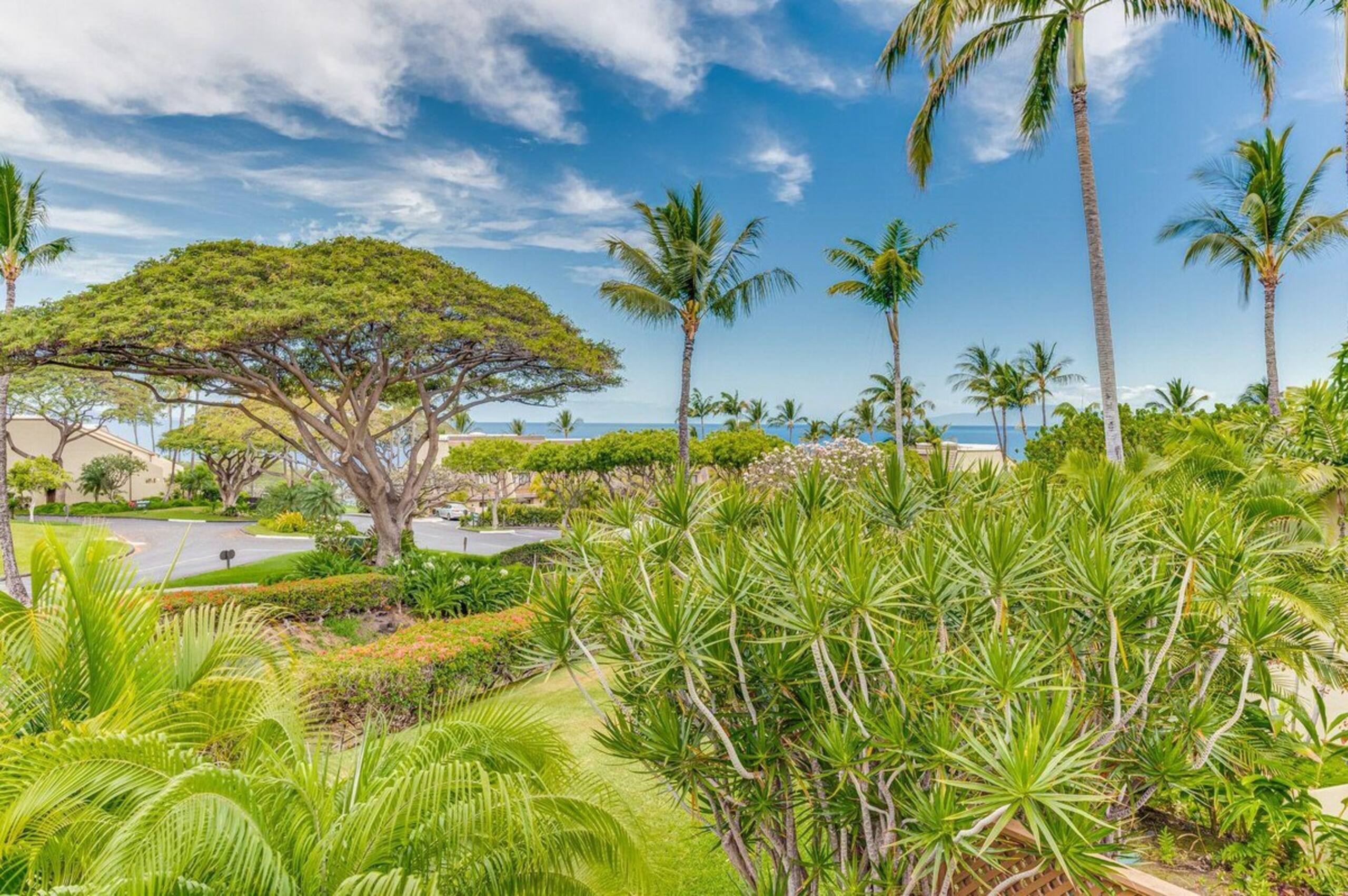 Top Floor Spacious Ocean View Condo Minutes to Be - Photo 51