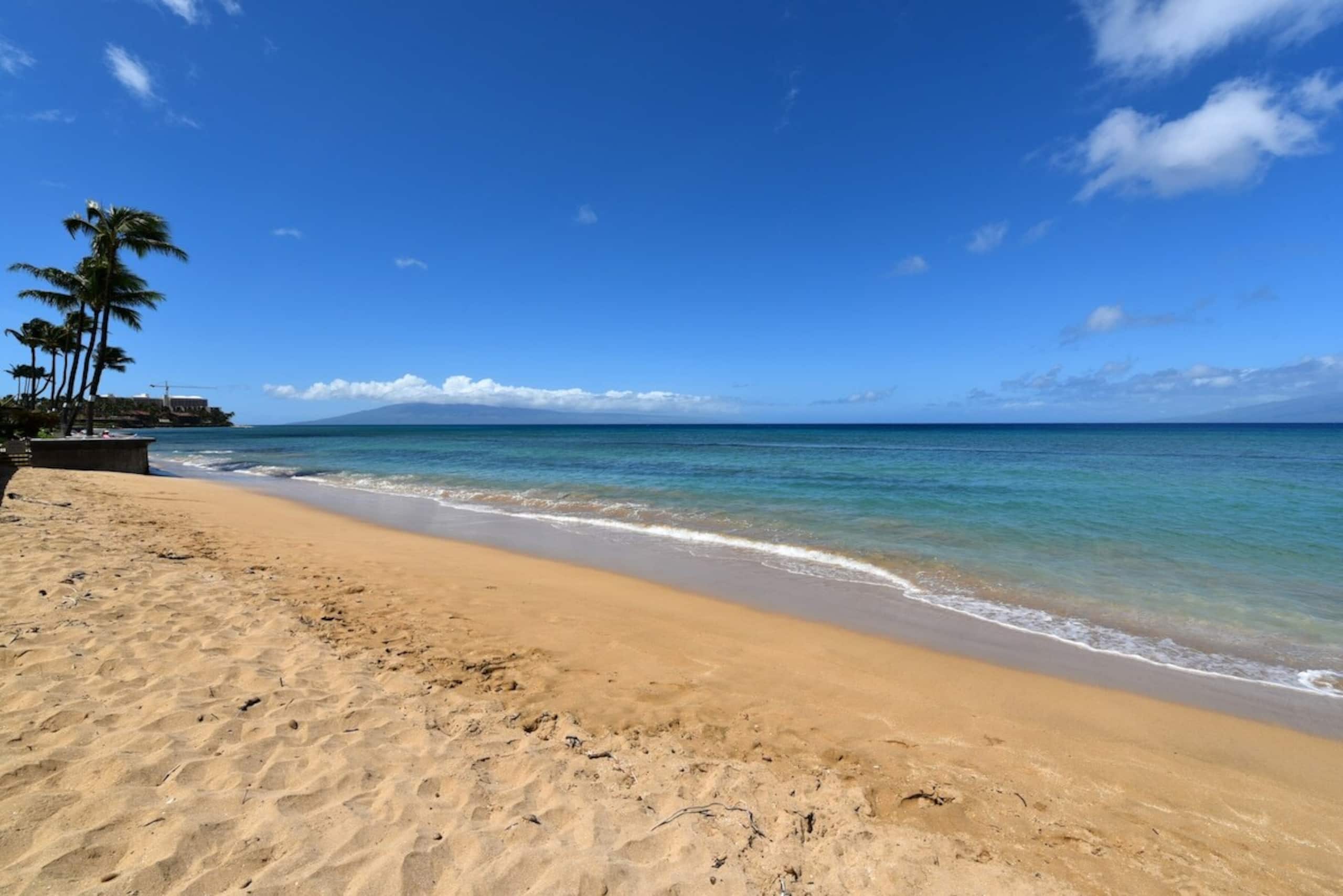 Summer Sale Oceanfront 1BD - Kaleialoha 111 - Photo 24