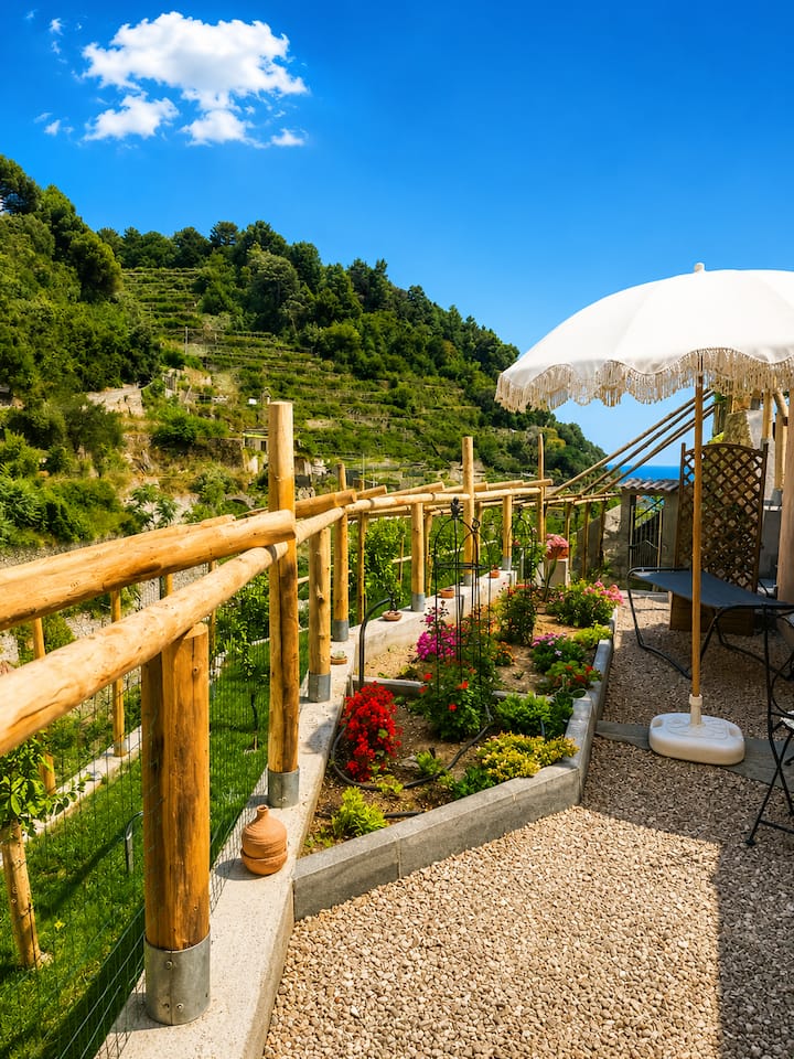 Casa Vacanze Il Cedro On The Lemons Path - 薩萊諾省