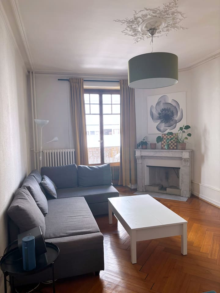 Elegant Flat In The Center Of Geneva - Geneva