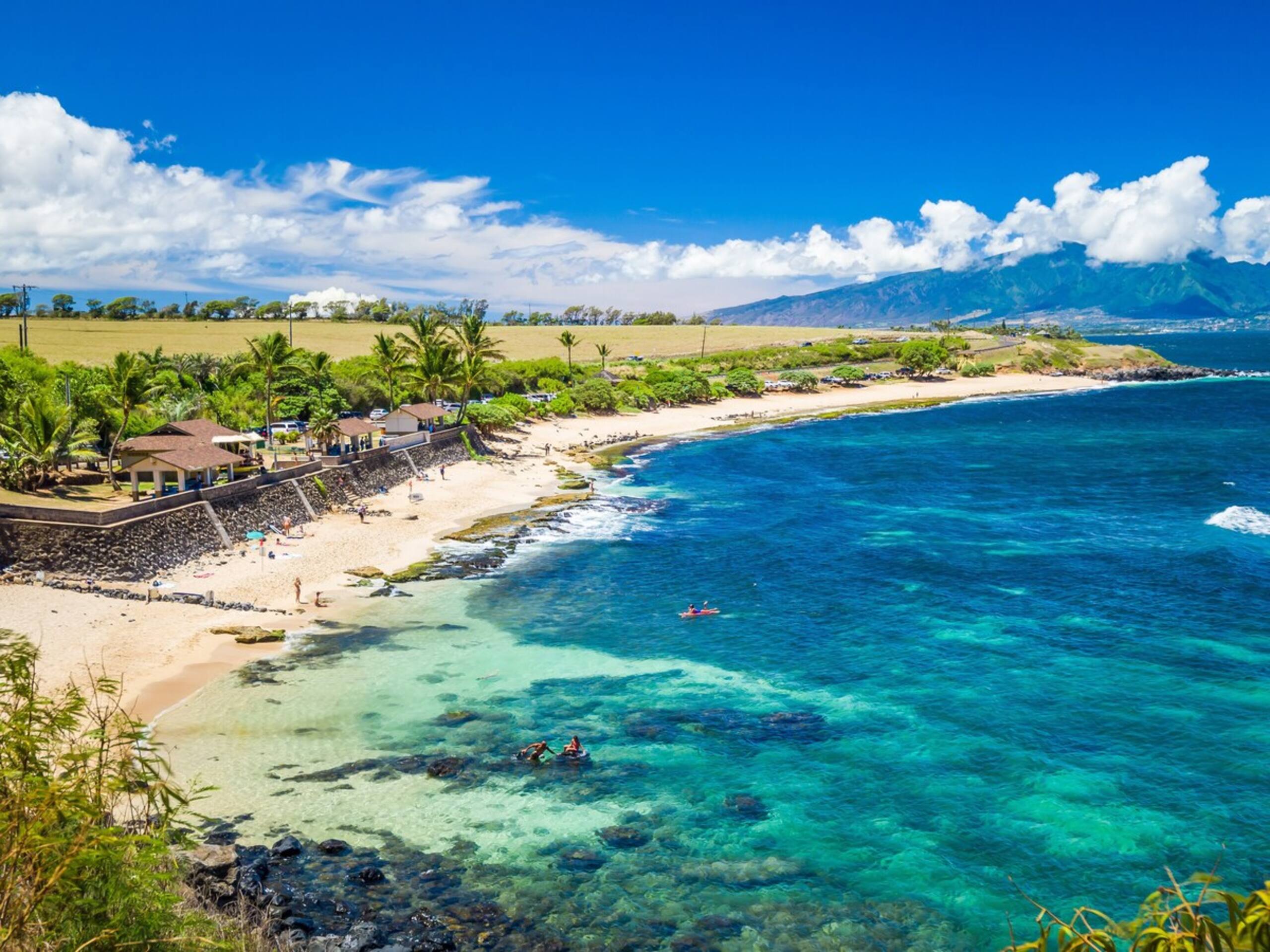 *Last Minute Deal! Beautiful by TOP Swimming Beach - Photo 21