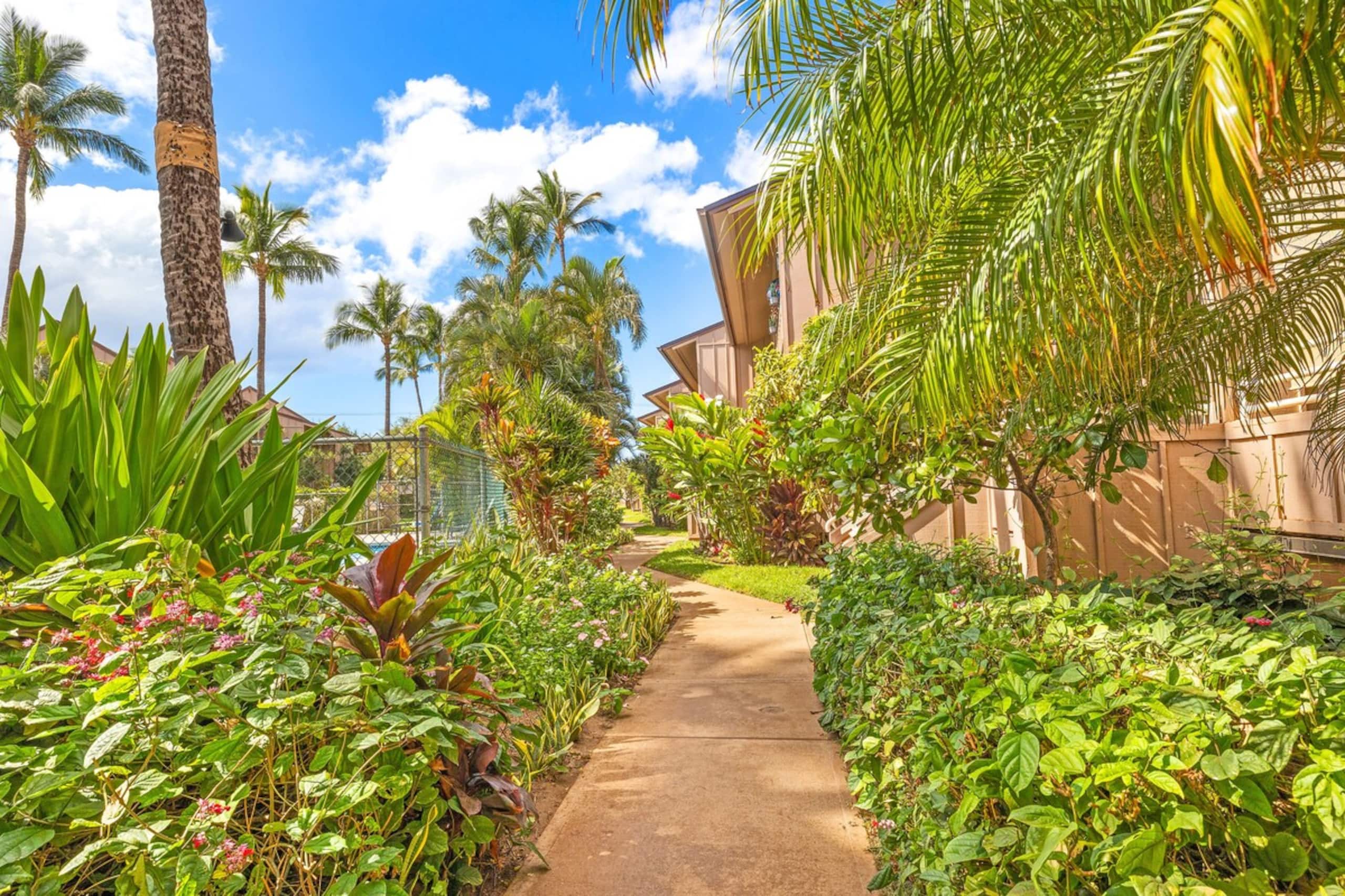 Great condo steps away from beach - Photo 39