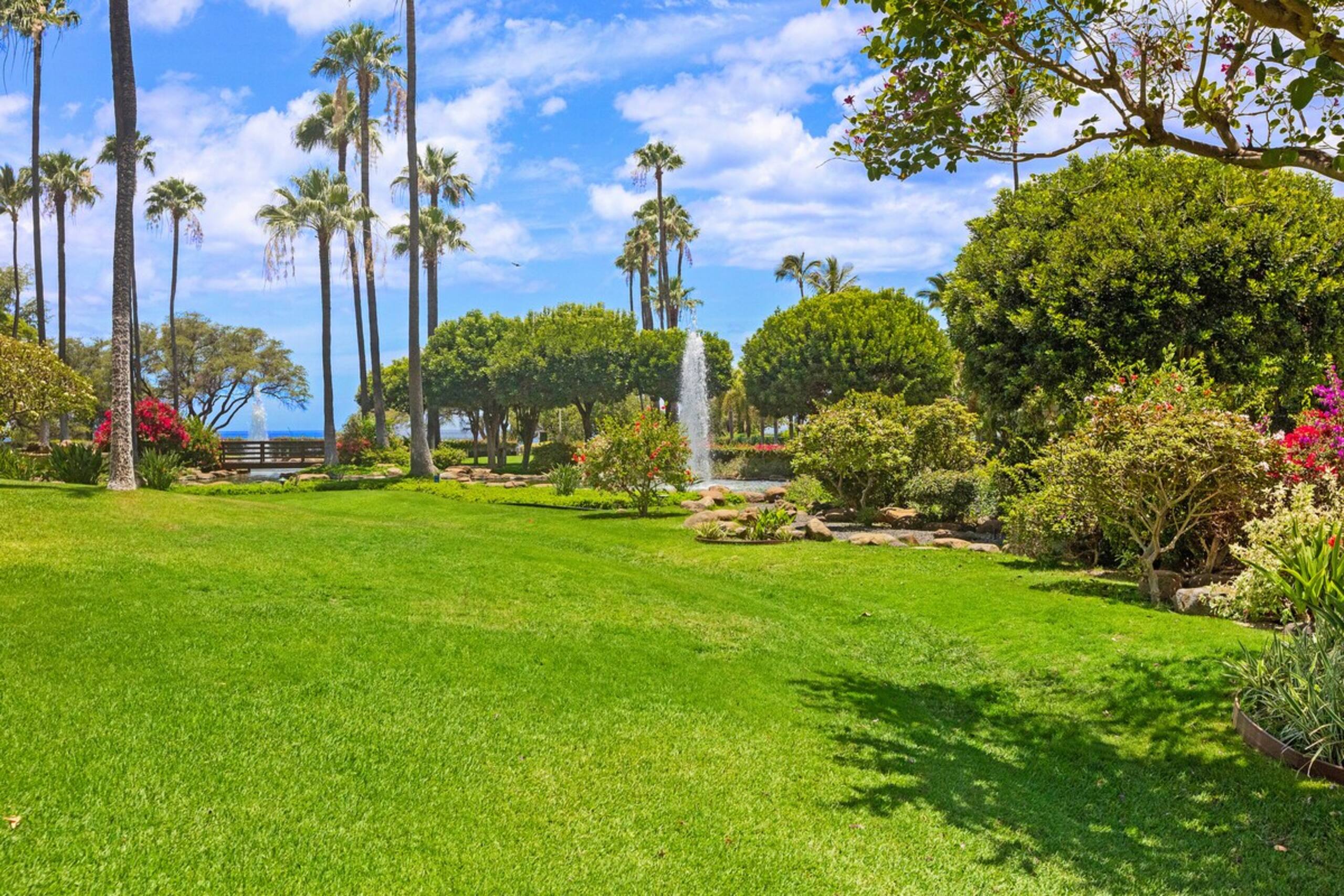 Last Minute Incredible Deal Fully Renovated 1b/2ba - Photo 40