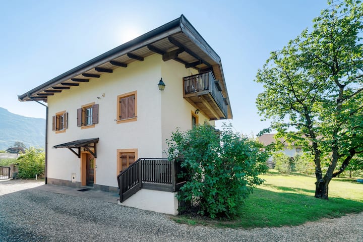 Zirbentraum - Merano