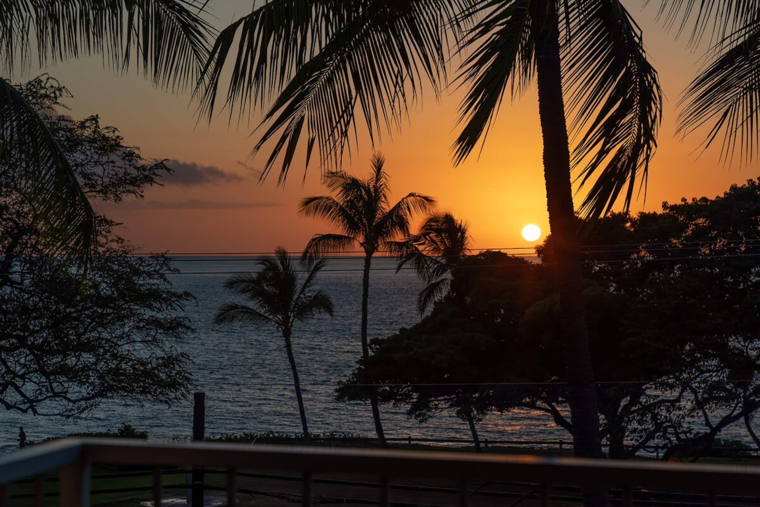 Ocean Front Vibes Maui - Photo 19