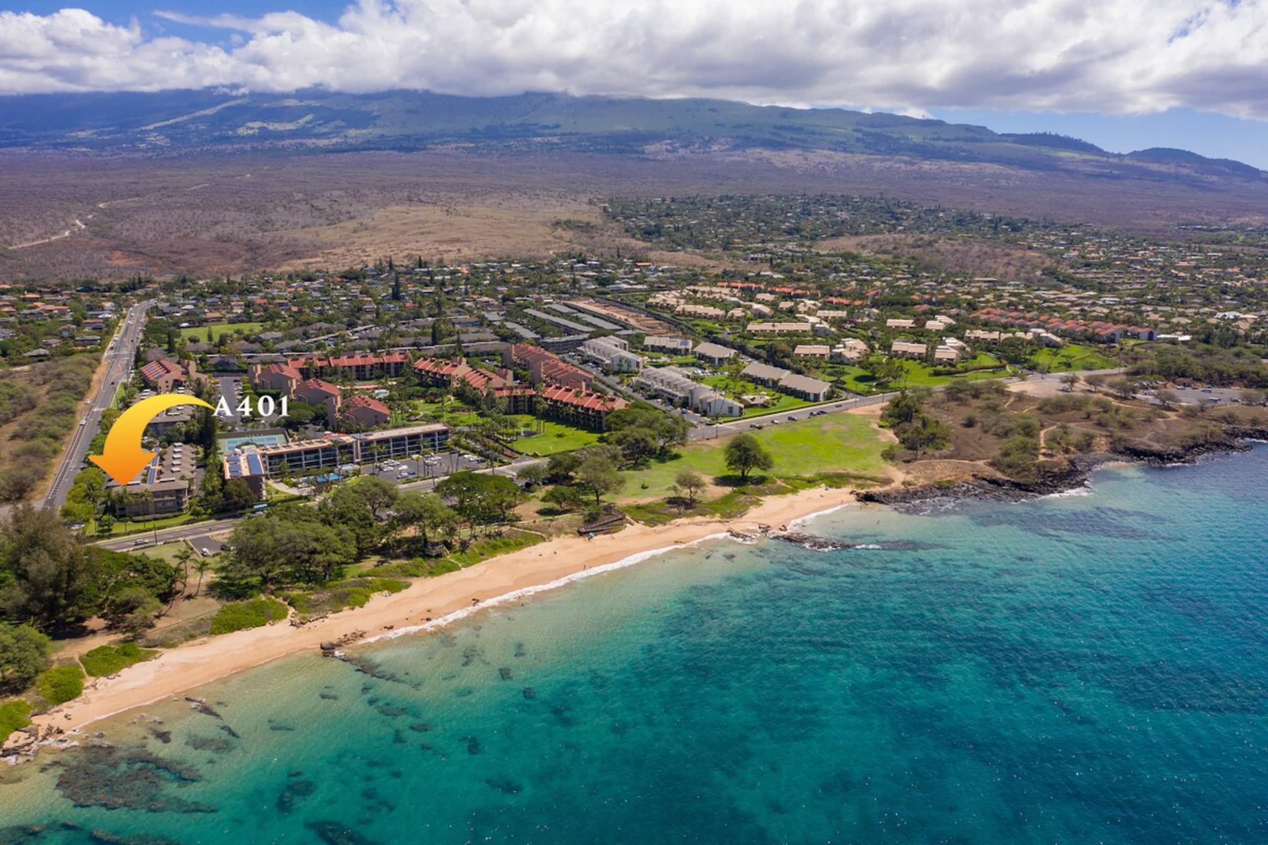 Ocean Front Vibes Maui - Photo 30