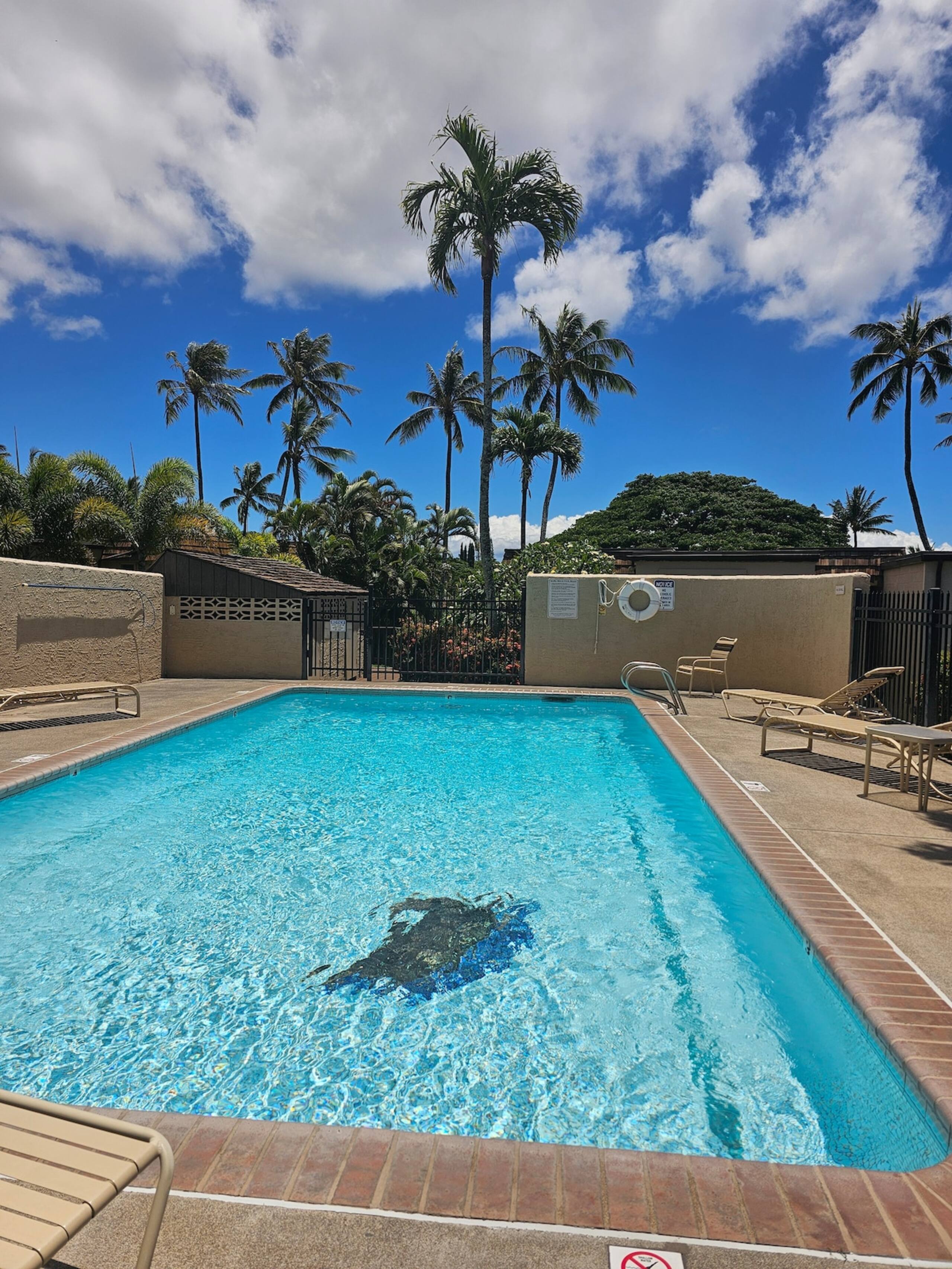 1BD Condo, short walk to beautiful Napili Bay - Photo 22