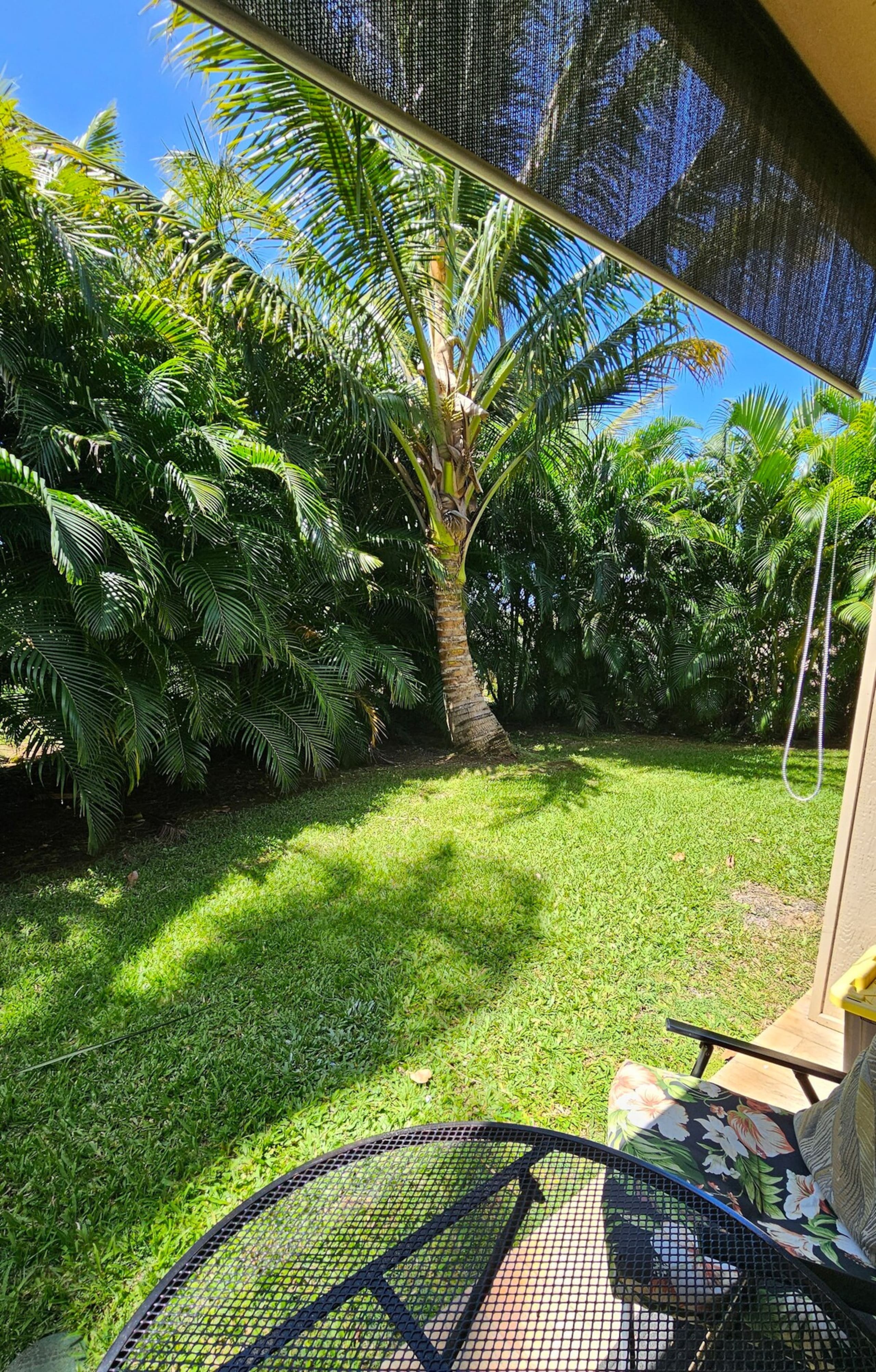 1BD Condo, short walk to beautiful Napili Bay - Photo 16