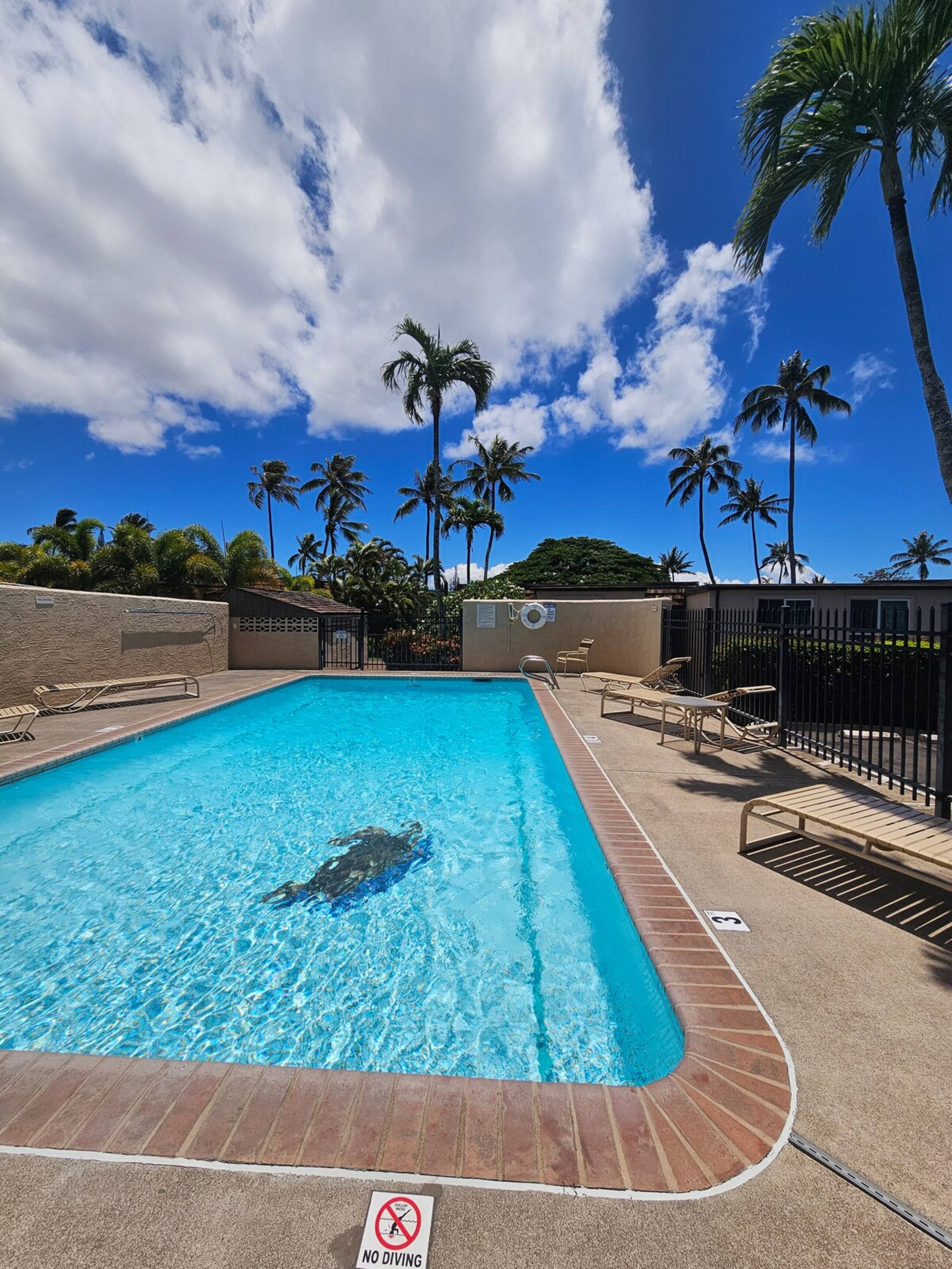 1BD Condo, short walk to beautiful Napili Bay - Photo 26