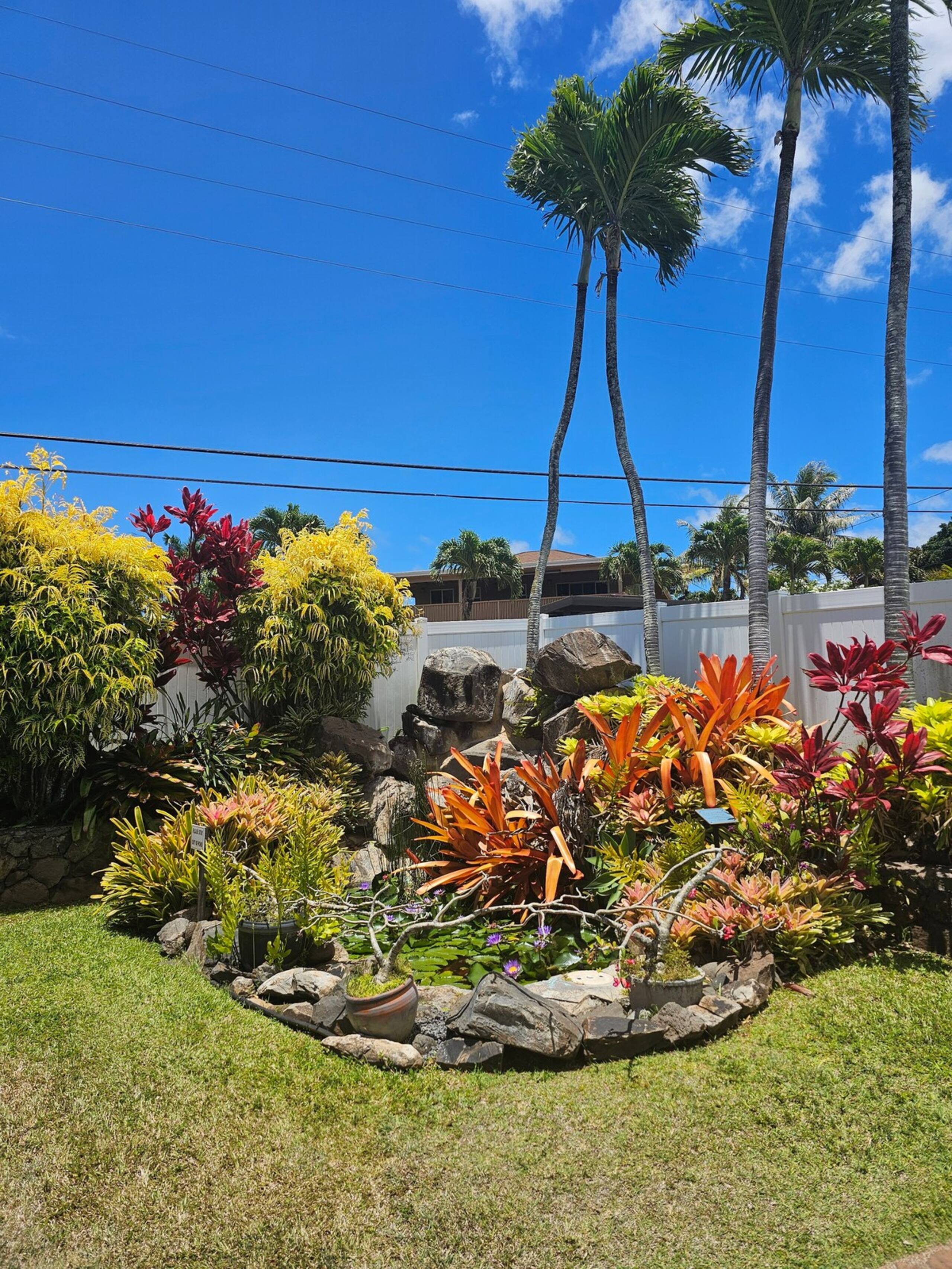 1BD Condo, short walk to beautiful Napili Bay - Photo 20