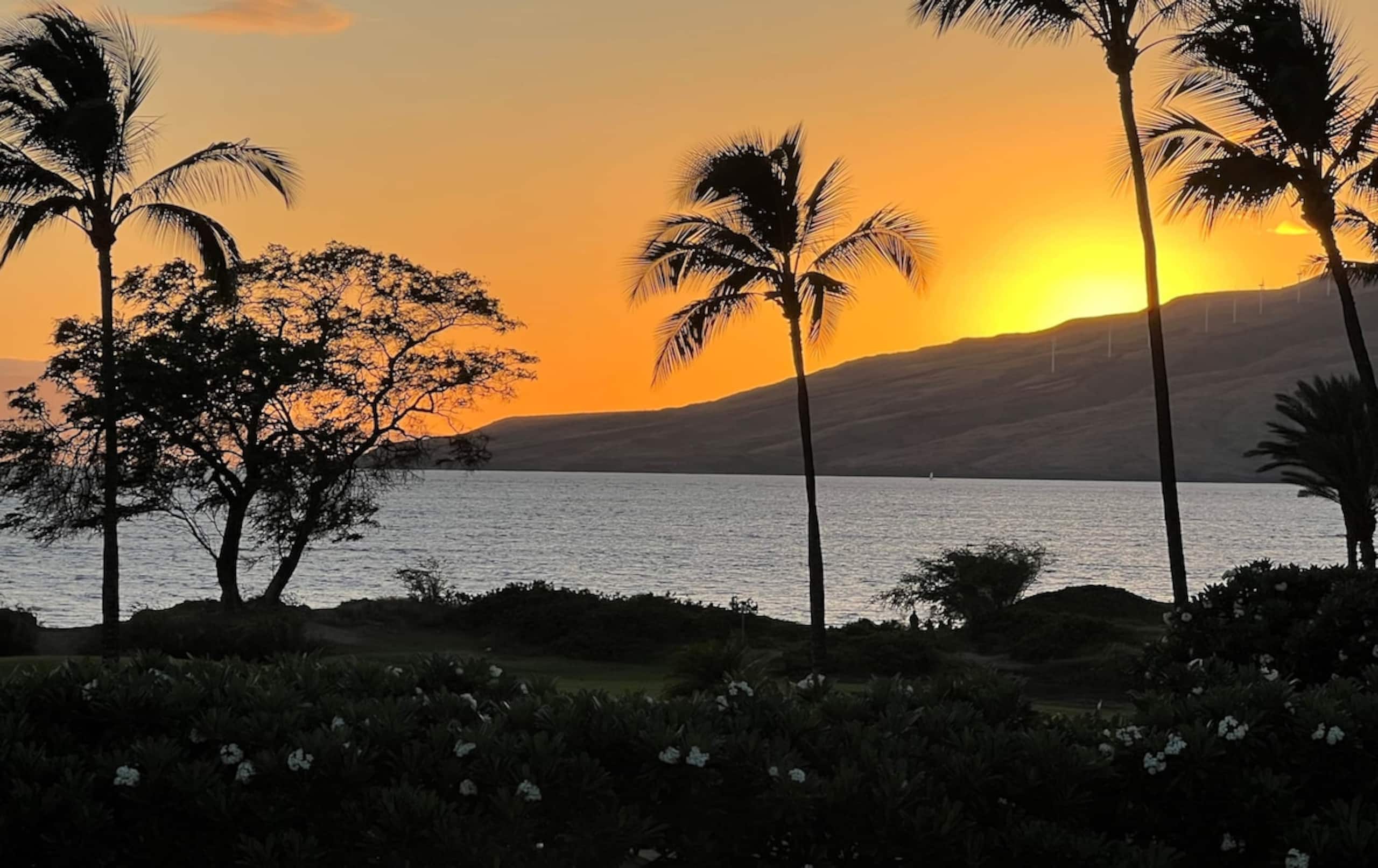 Magnificent Sunsets and Beachfront at Luana Kai - Photo 2