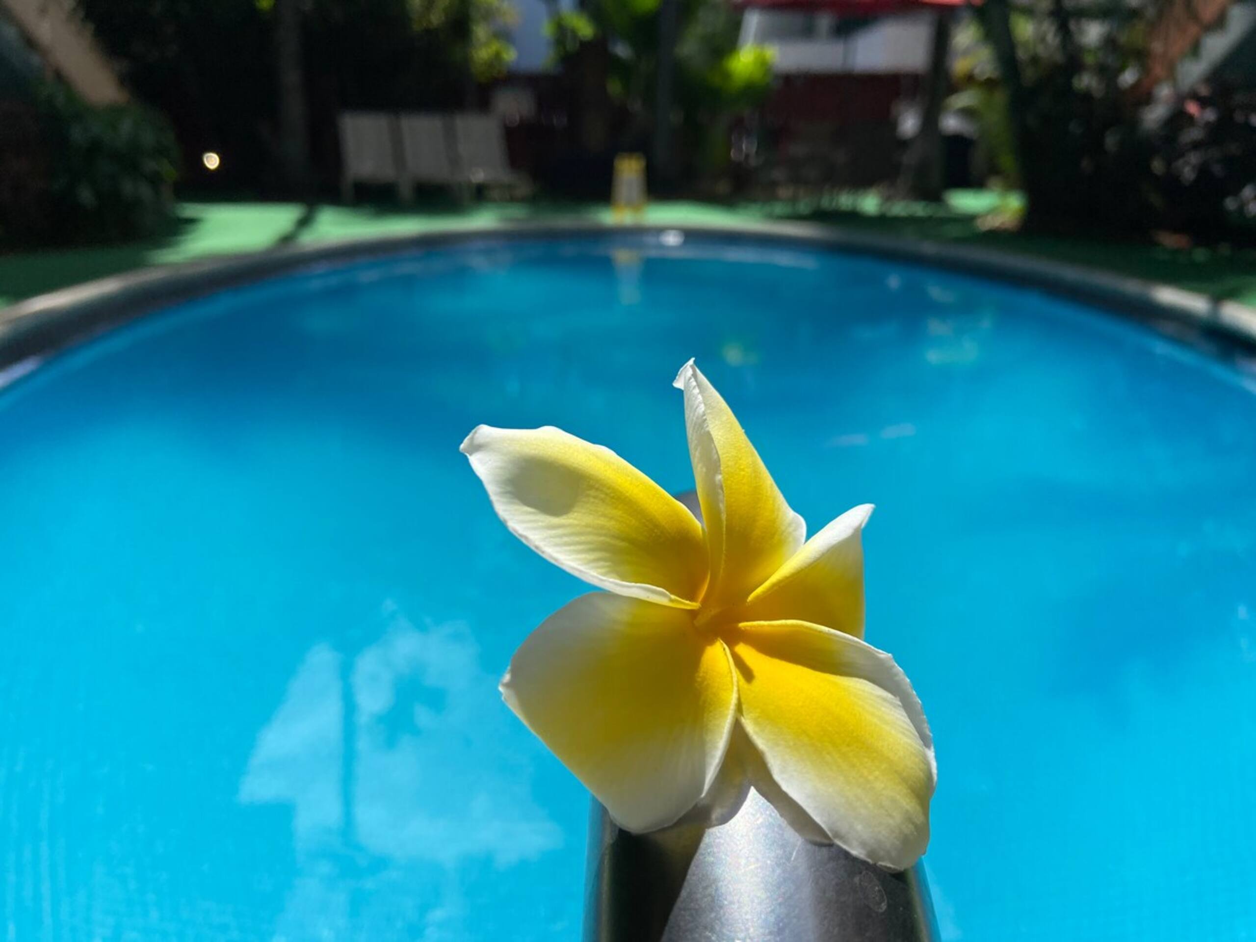 Wakiki condo near beach, kitchen, pool, sleeps 8 - Photo 82
