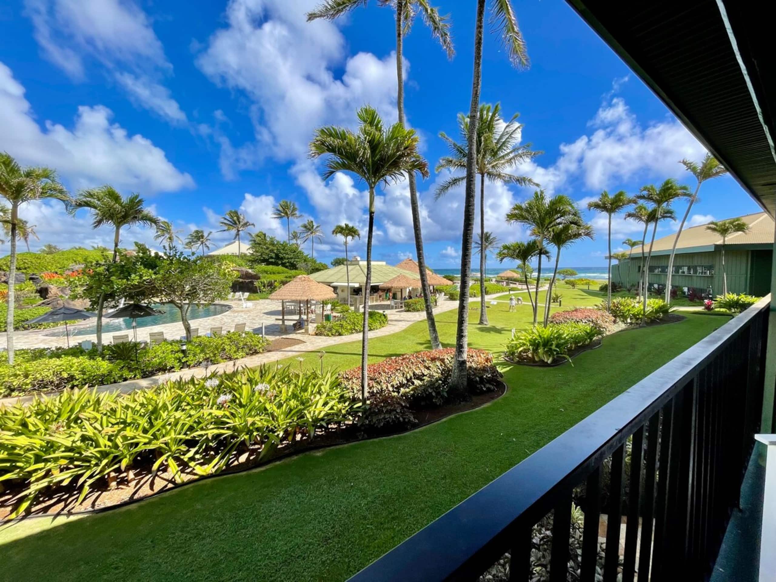The Nalu Suite - Photo 16