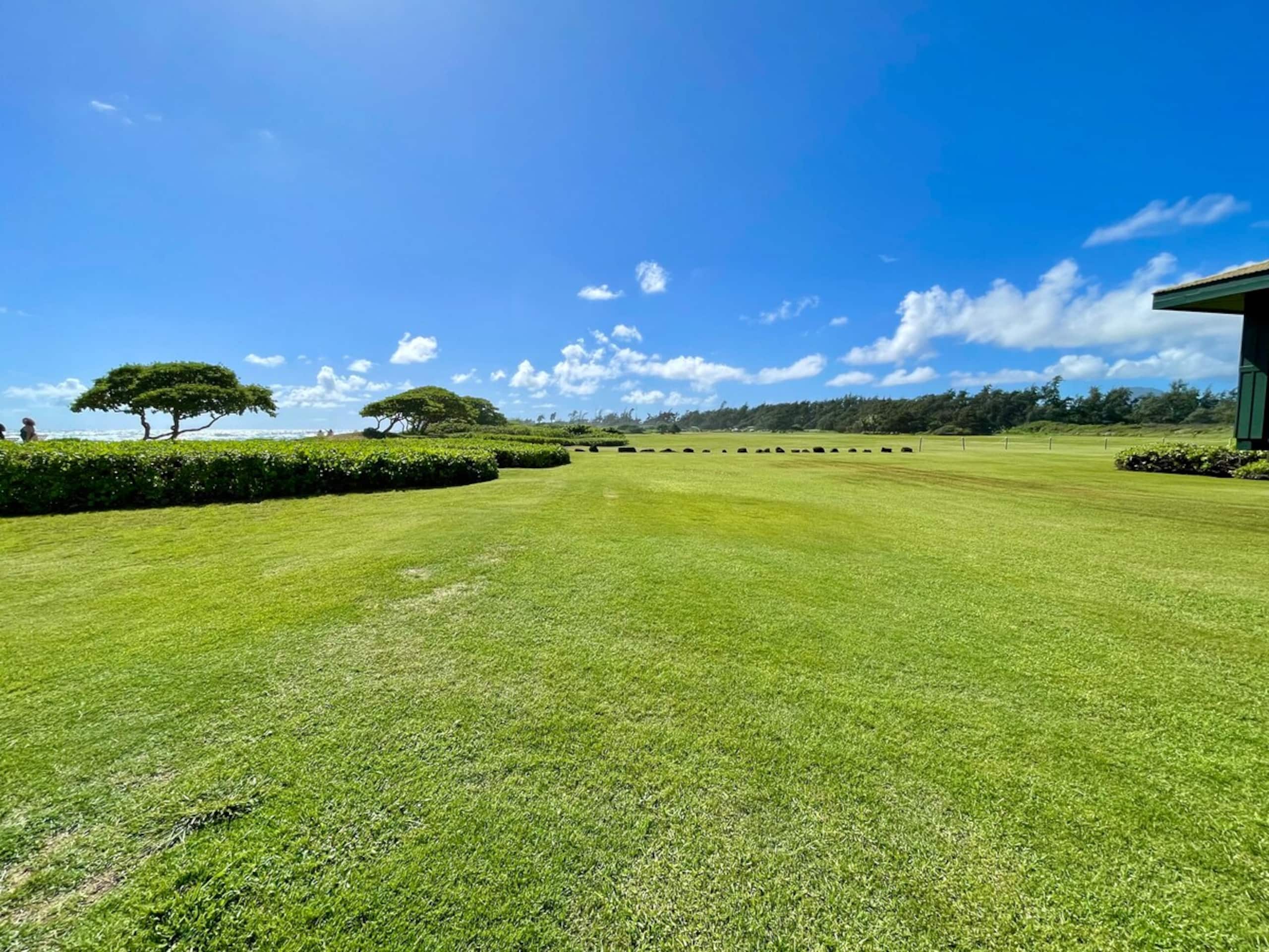 The Nalu Suite - Photo 28