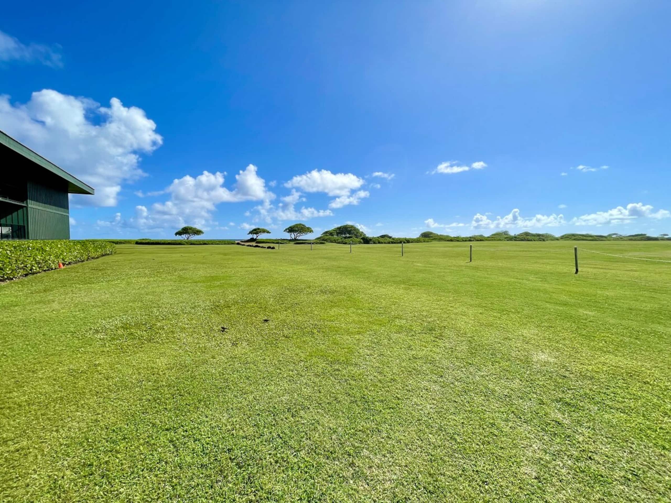 The Nalu Suite - Photo 46