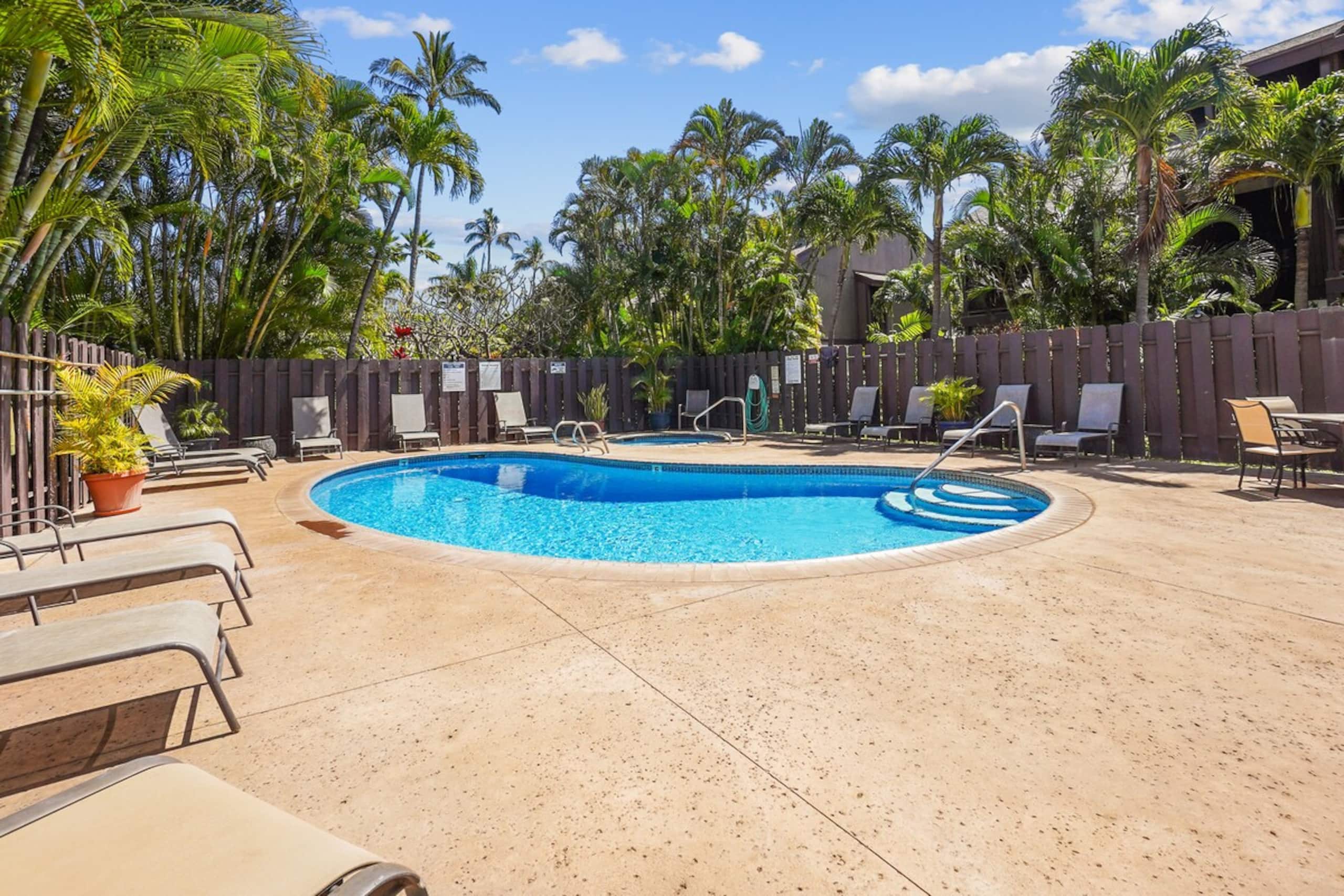 Low rates- A/C-free parking- No resort fees KR103 - Photo 30